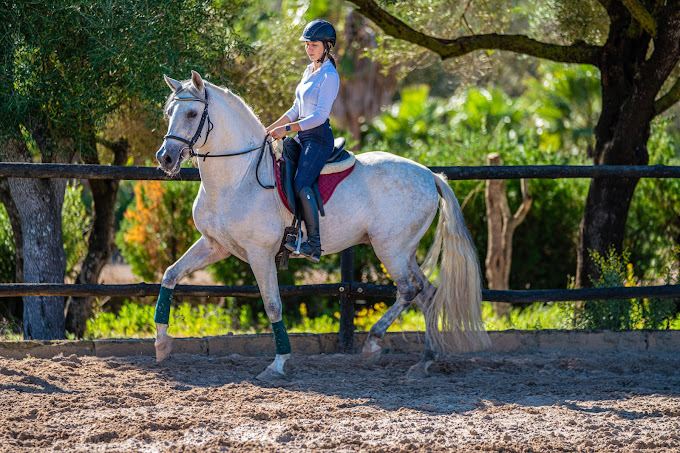 Image Baléares : Stage d'équitation à Majorque