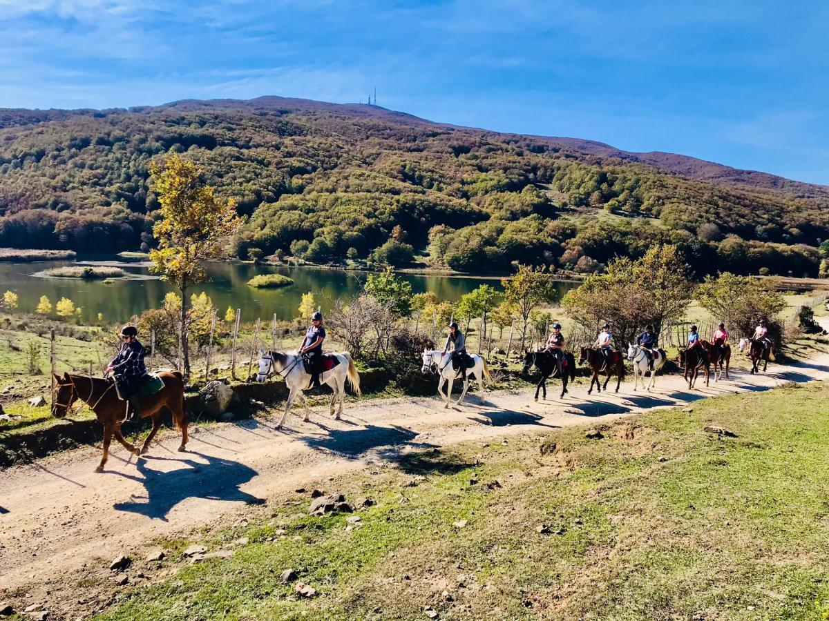 Image Sicile : Odyssée Sicilienne à cheval