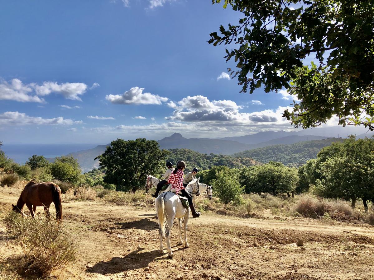 Image Sicile : Odyssée Sicilienne à cheval