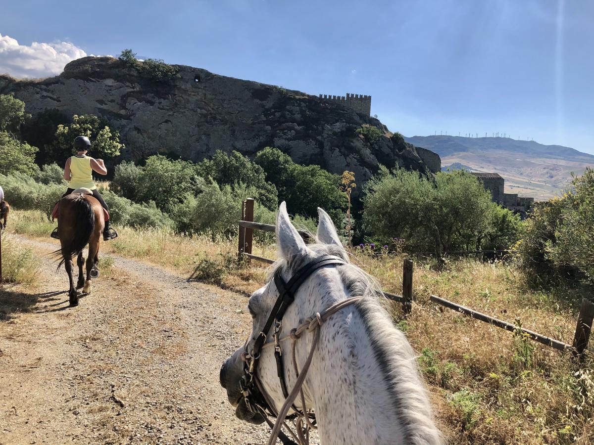 Image Sicile : Odyssée Sicilienne à cheval