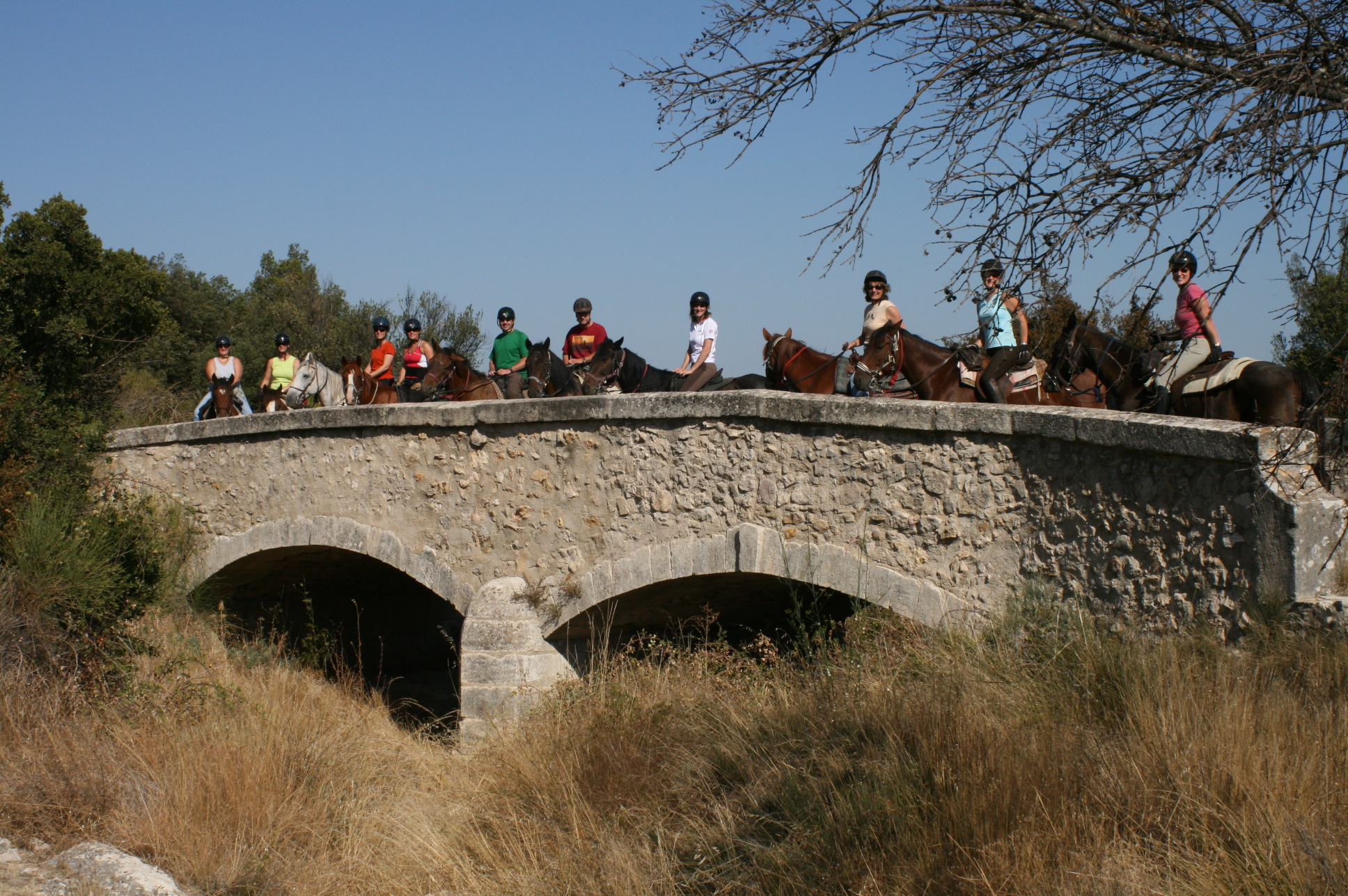 Image Voyage à cheval des collines du Luberon et des Alpilles à la Camargue