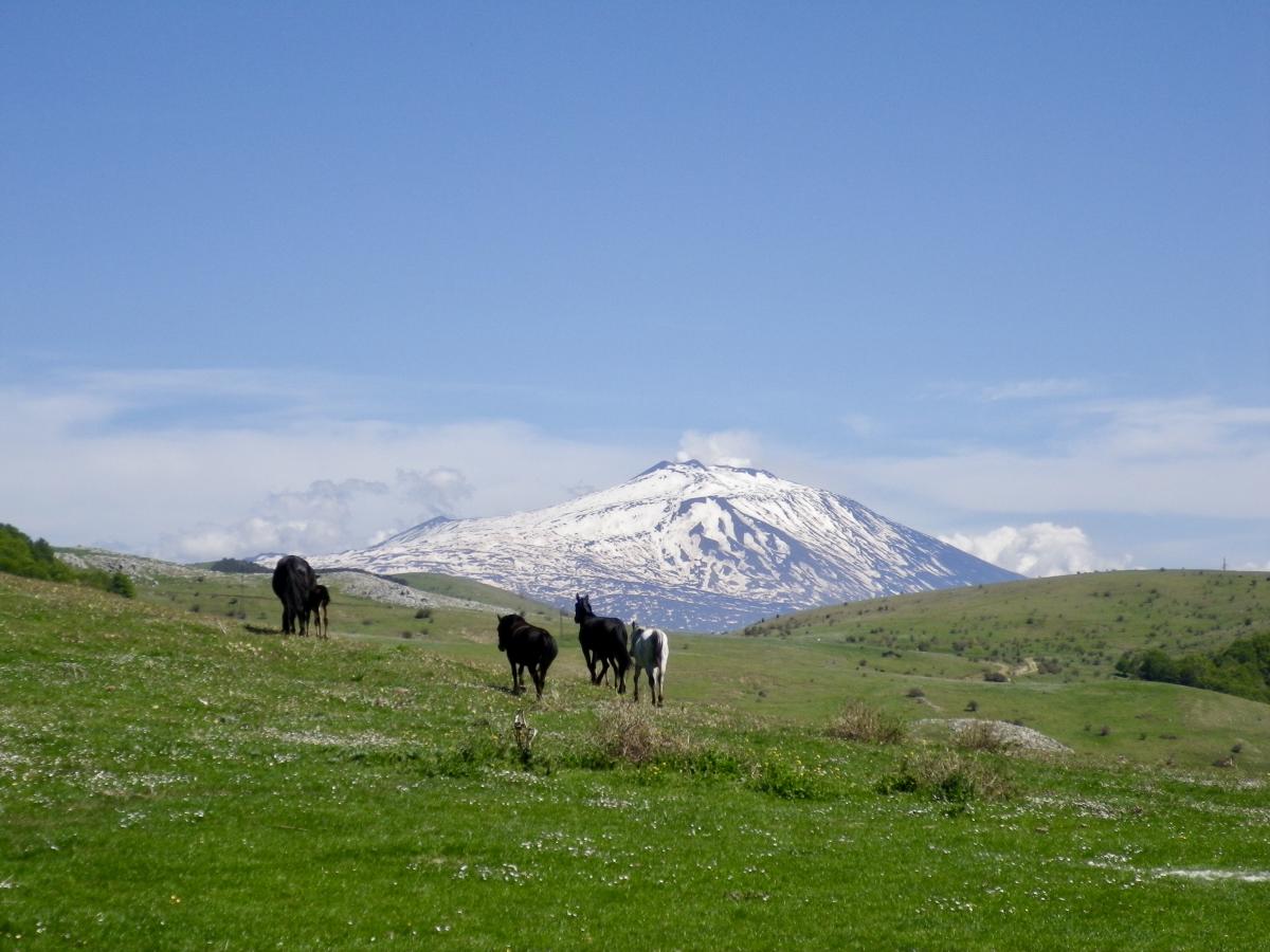 Image Sicile : Odyssée Sicilienne à cheval