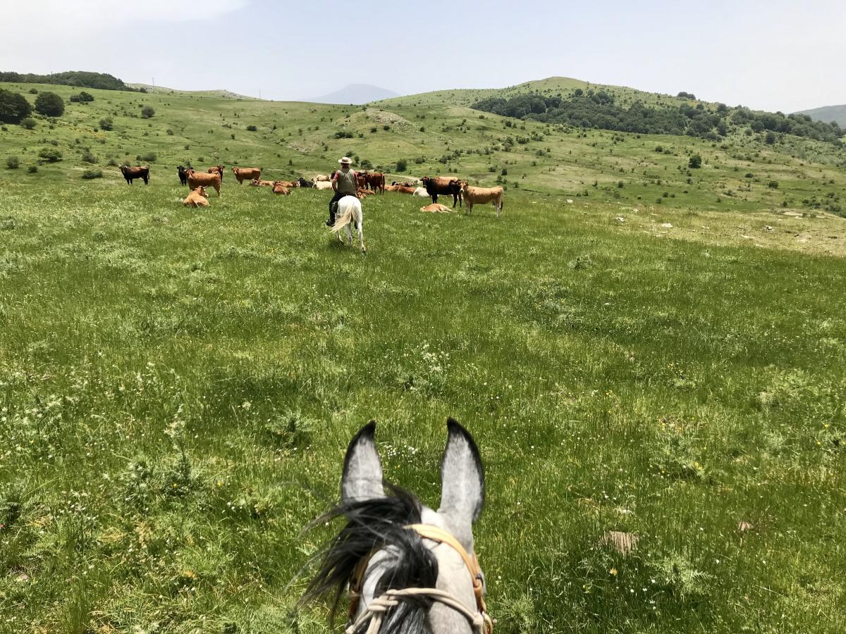 Image Sicile : Odyssée Sicilienne à cheval