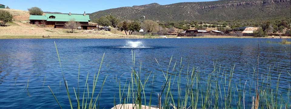 Image Usa : Séjour dans un ranch et multi activités dans Pleasant Valley en Arizona