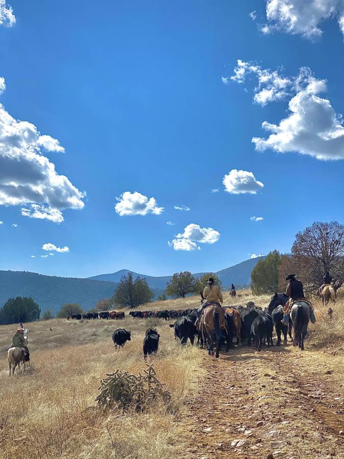 Image Usa : Séjour dans un ranch et multi activités dans Pleasant Valley en Arizona