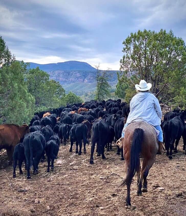 Image Usa : Séjour dans un ranch et multi activités dans Pleasant Valley en Arizona