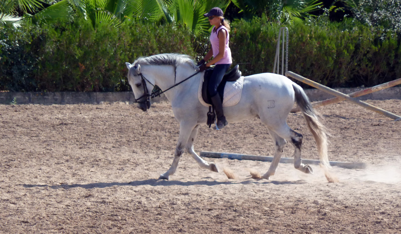 Image Baléares : Stage d'équitation à Majorque
