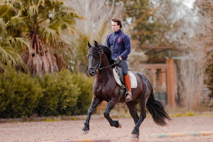 Image Baléares : Stage d'équitation à Majorque