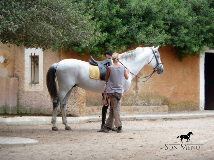 Image Baléares : Stage d'équitation à Majorque