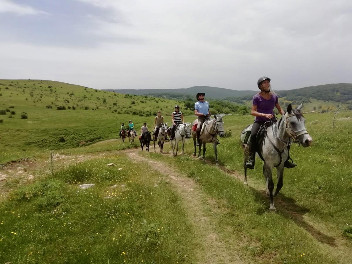 Image Sicile : Odyssée Sicilienne à cheval