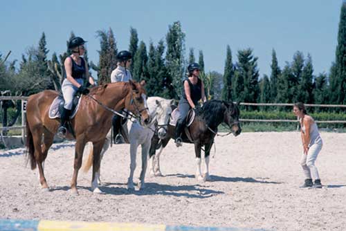 Image Baléares : Stage d'équitation à Majorque