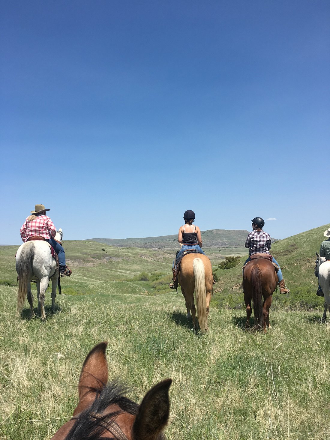 Image Usa : Randonnées à cheval et travail dans un ranch du Montana