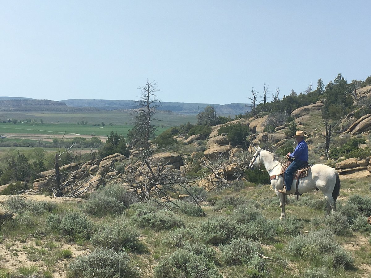 Image Usa : Randonnées à cheval et travail dans un ranch du Montana