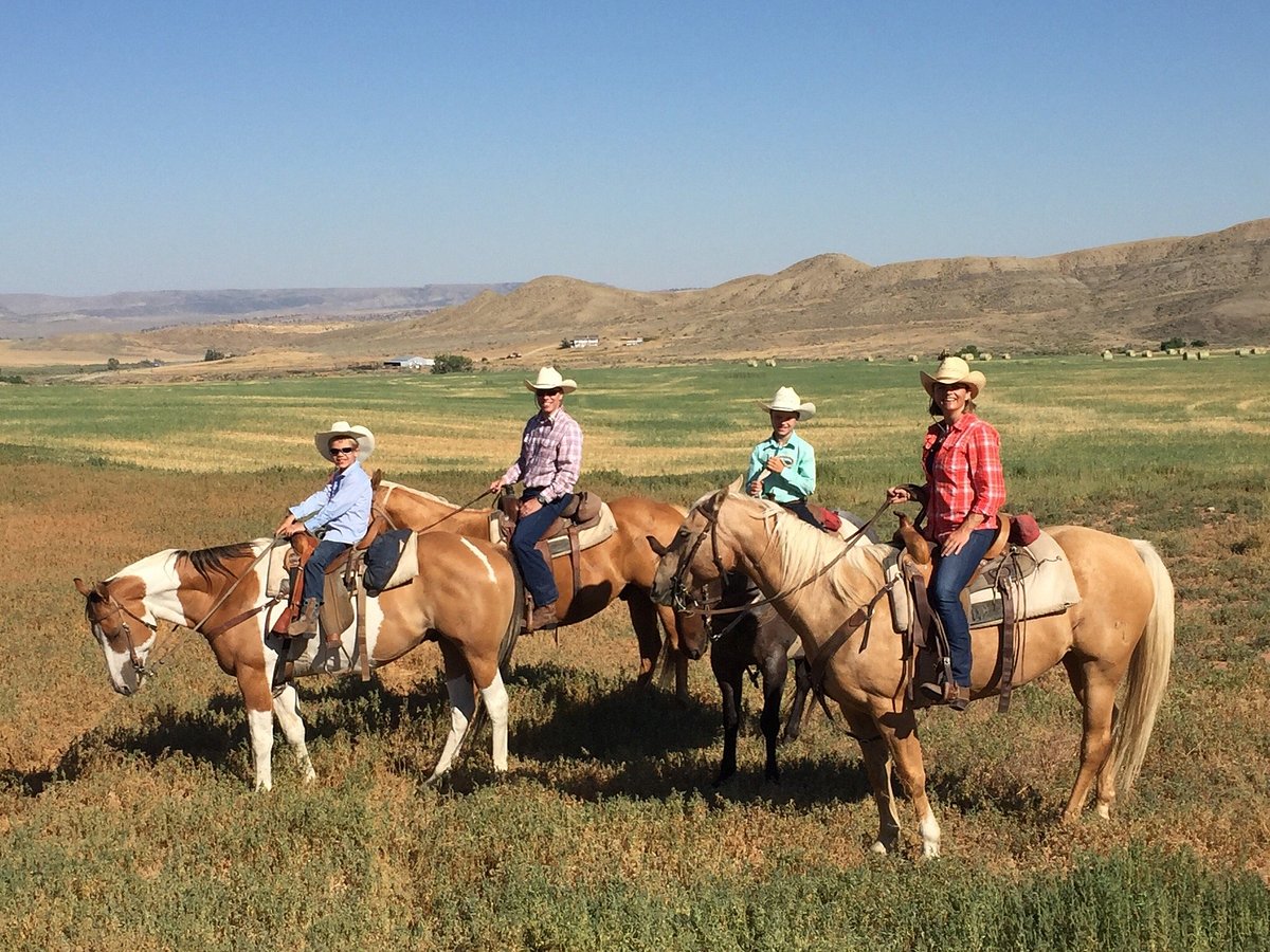 Image Usa : Randonnées à cheval et travail dans un ranch du Montana