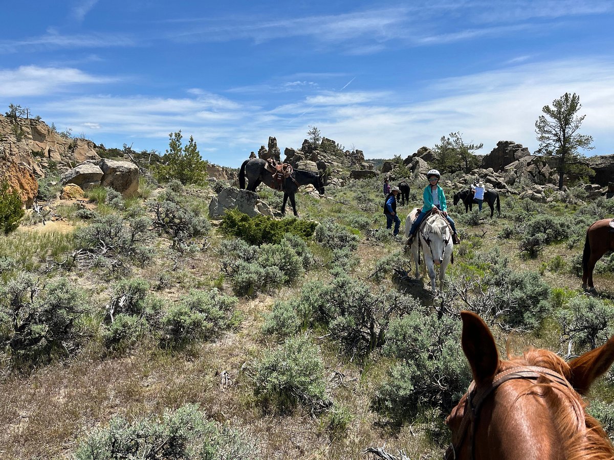 Image Usa : Randonnées à cheval et travail dans un ranch du Montana