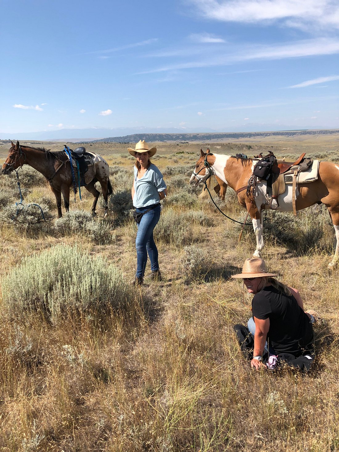 Image Usa : Randonnées à cheval et travail dans un ranch du Montana