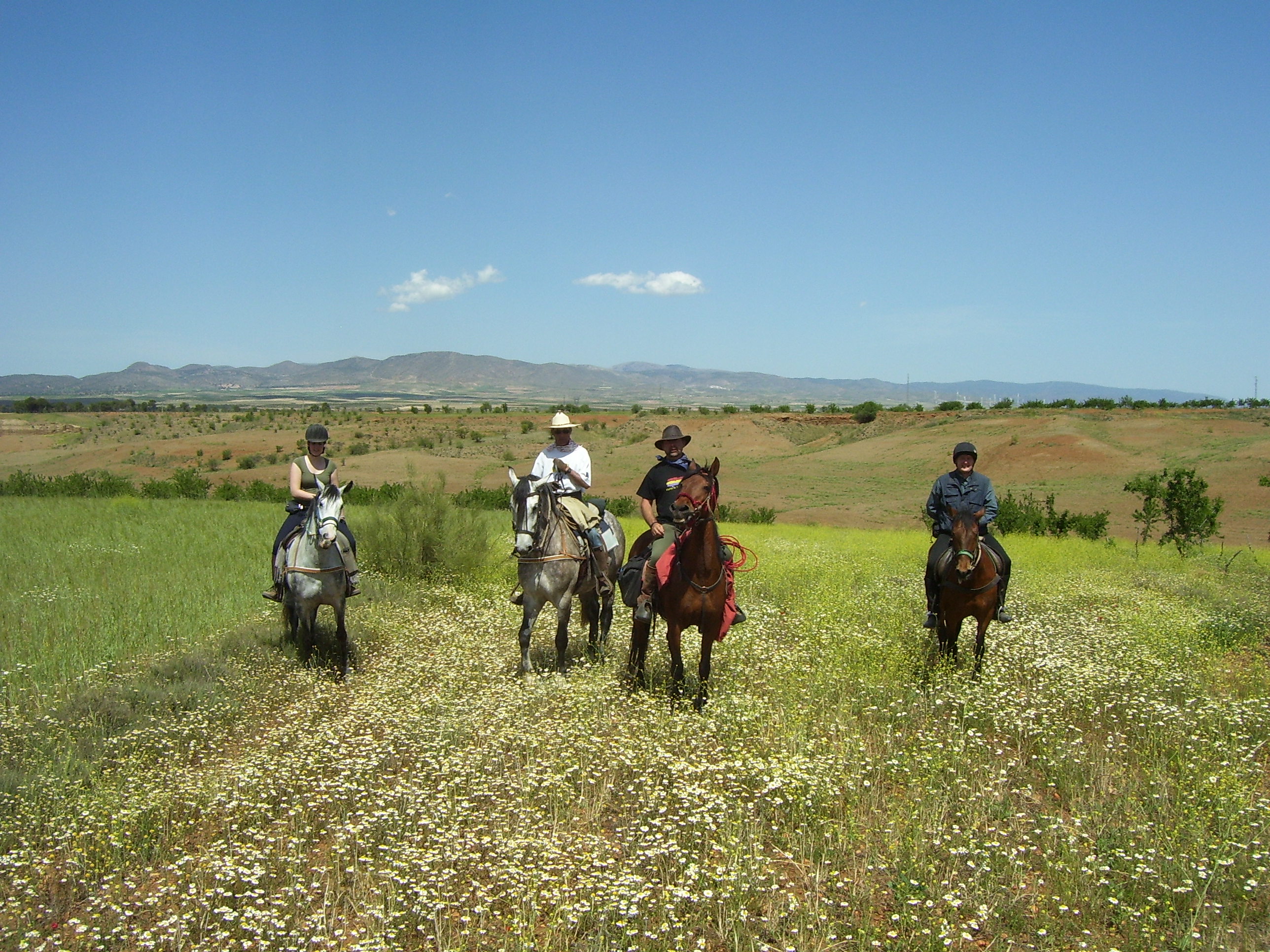 Image Andalousie : La face cachée de la Sierra Nevada à cheval