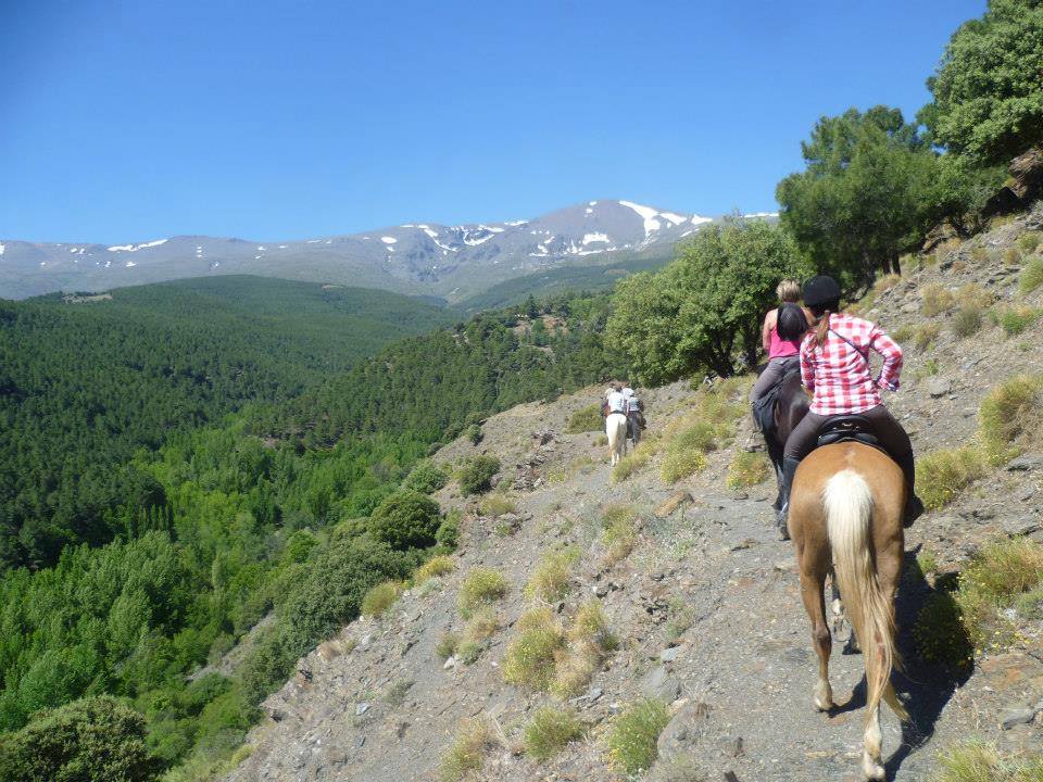 Image Andalousie : La face cachée de la Sierra Nevada à cheval