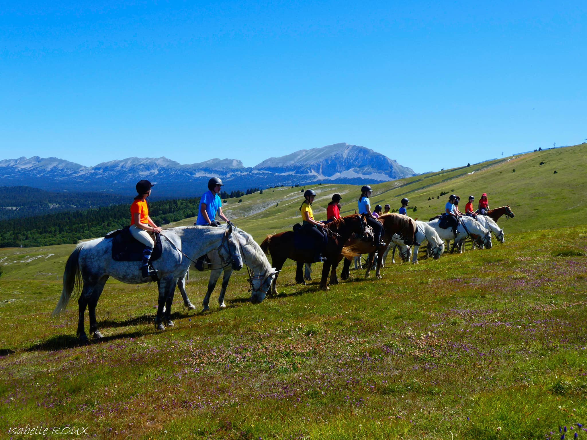 Image Rando à cheval dans le Vercors pour ados de 13 à 17 ans