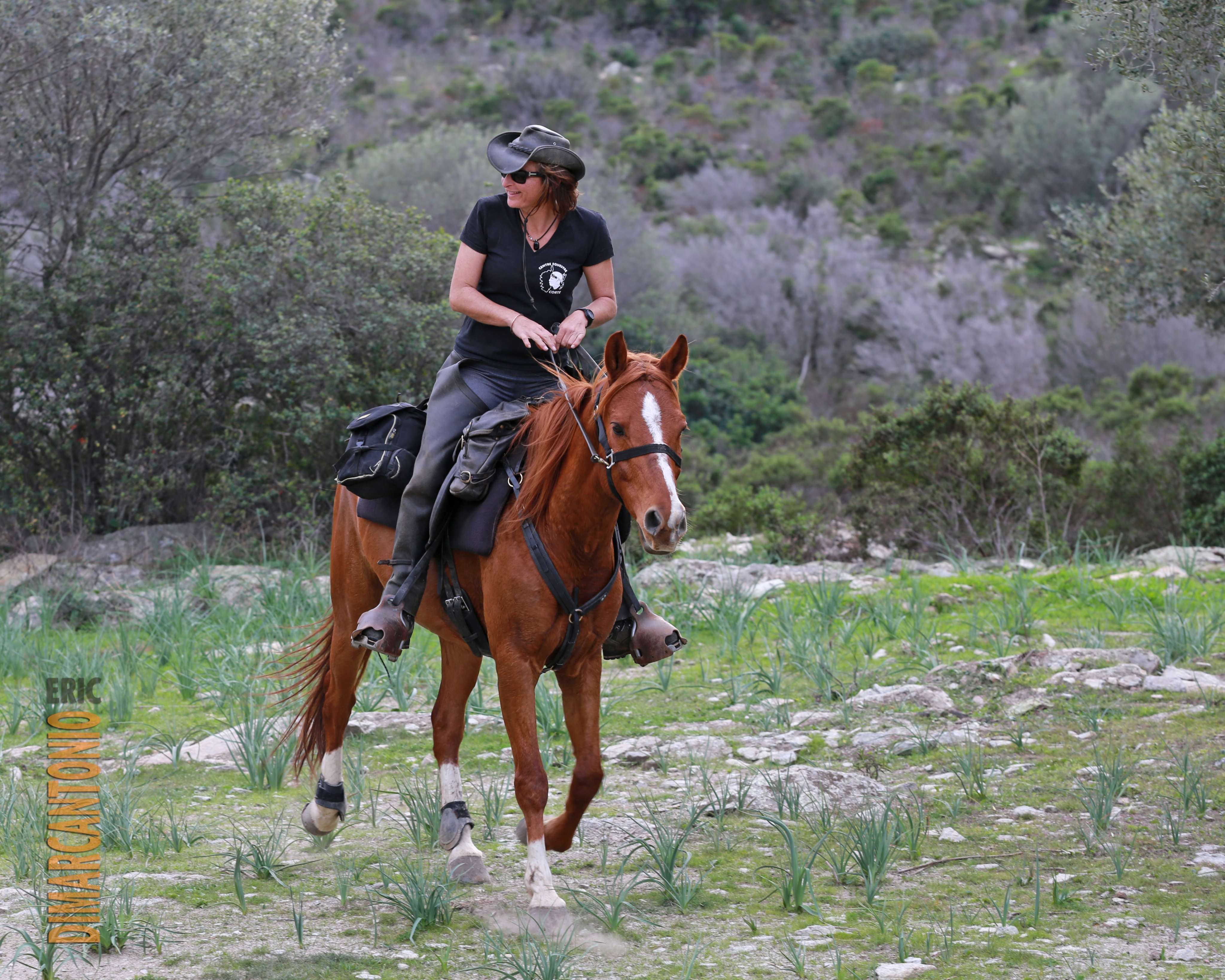 Image Invitation à la randonnée à cheval en Corse
