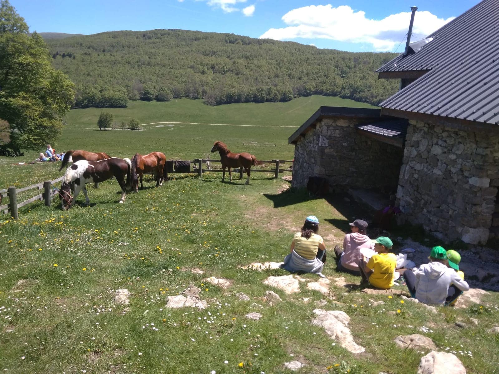 Image Rando à cheval dans le Vercors pour ados de 9 à 13 ans