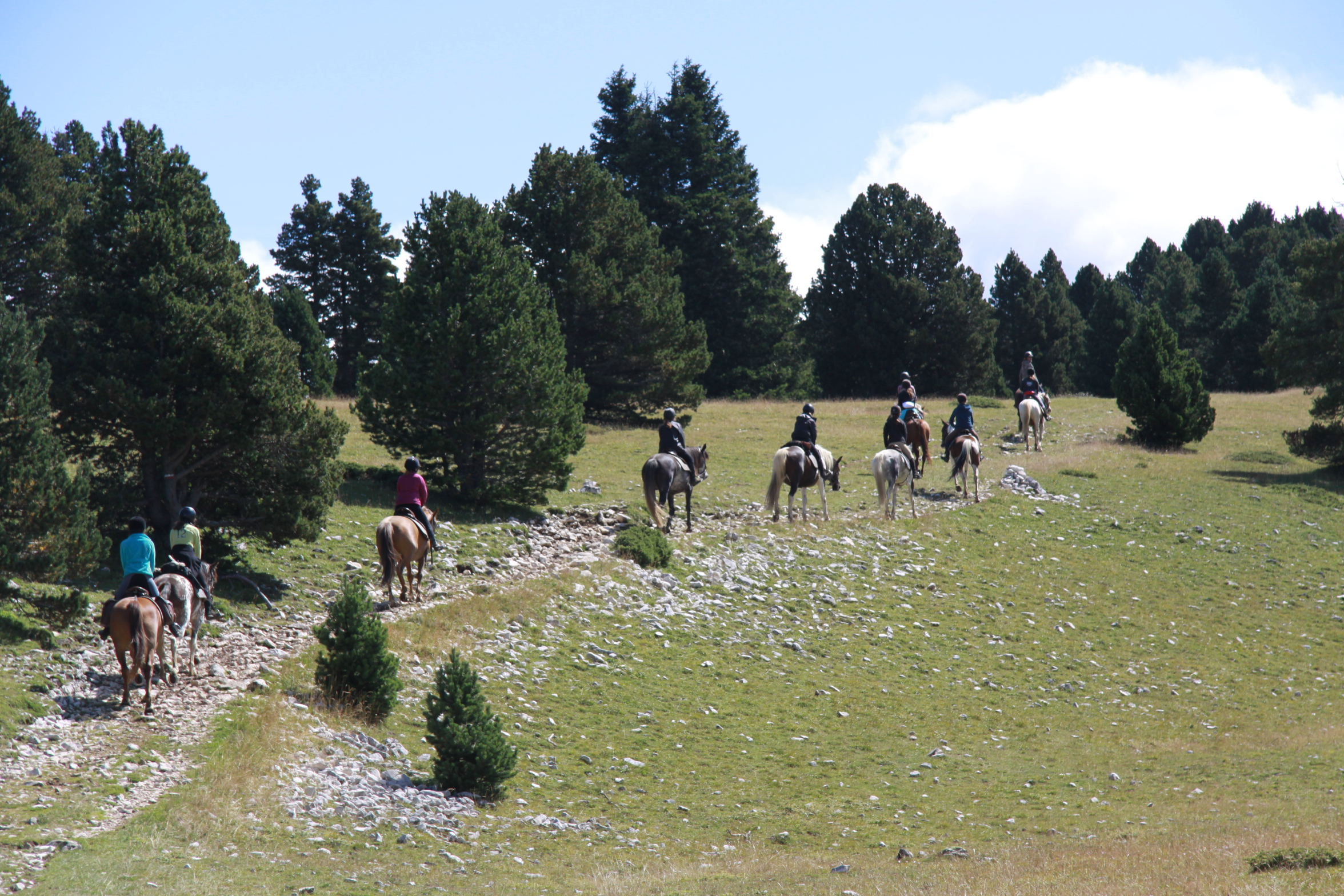 Image Rando à cheval dans le Vercors pour ados de 13 à 17 ans