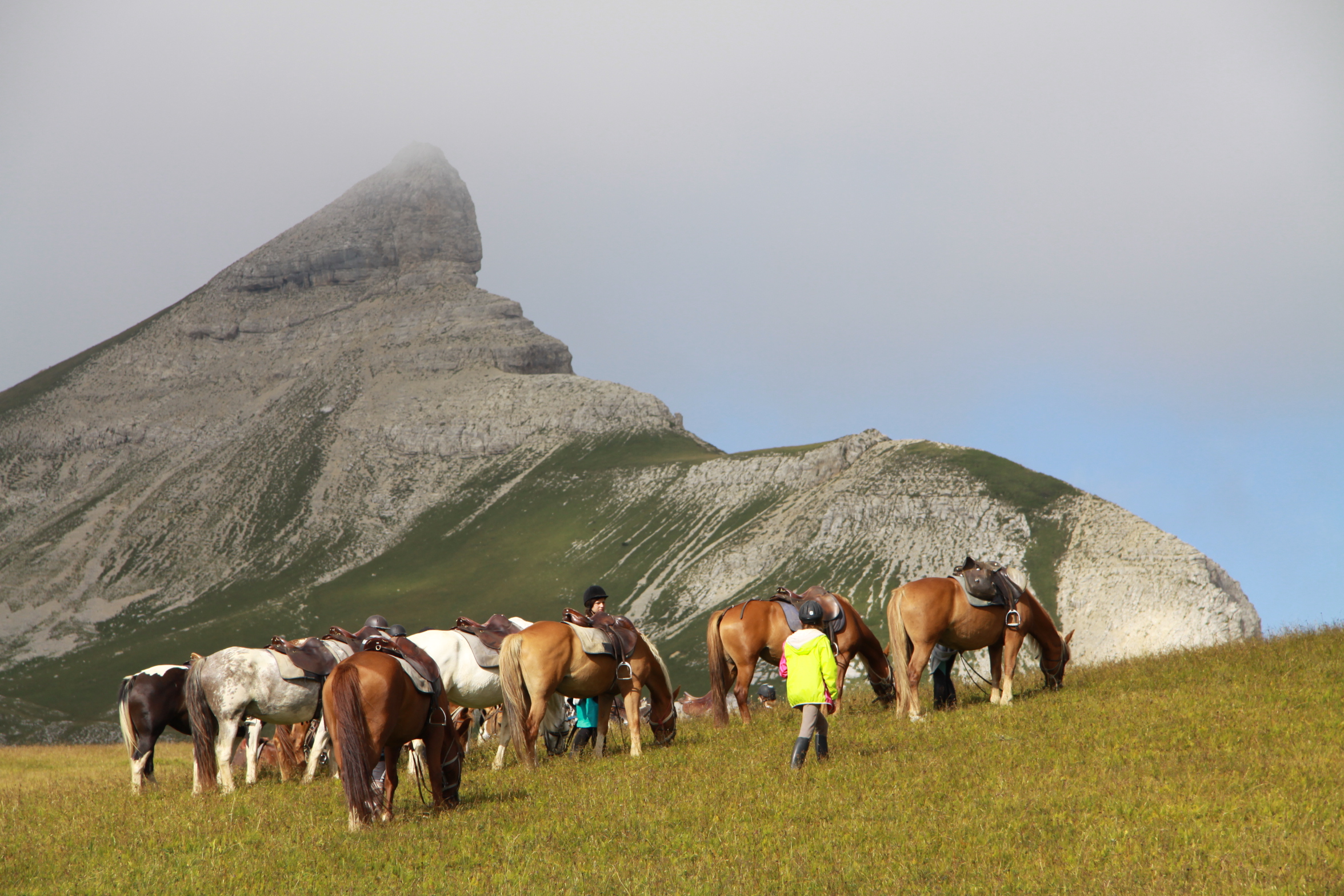 Image Rando à cheval dans le Vercors pour ados de 13 à 17 ans
