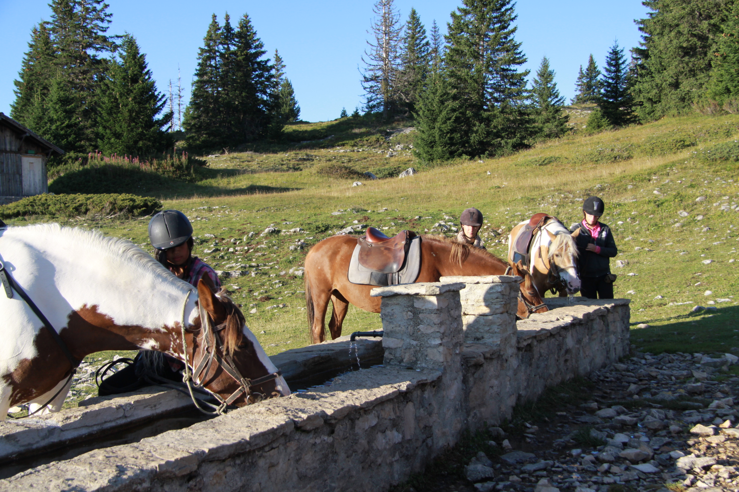 Image Rando à cheval dans le Vercors pour ados de 13 à 17 ans