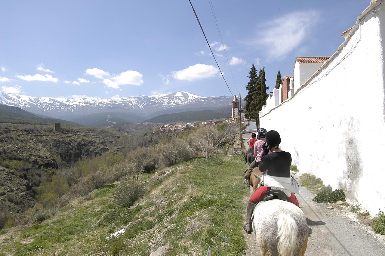 Image Andalousie : La face cachée de la Sierra Nevada à cheval
