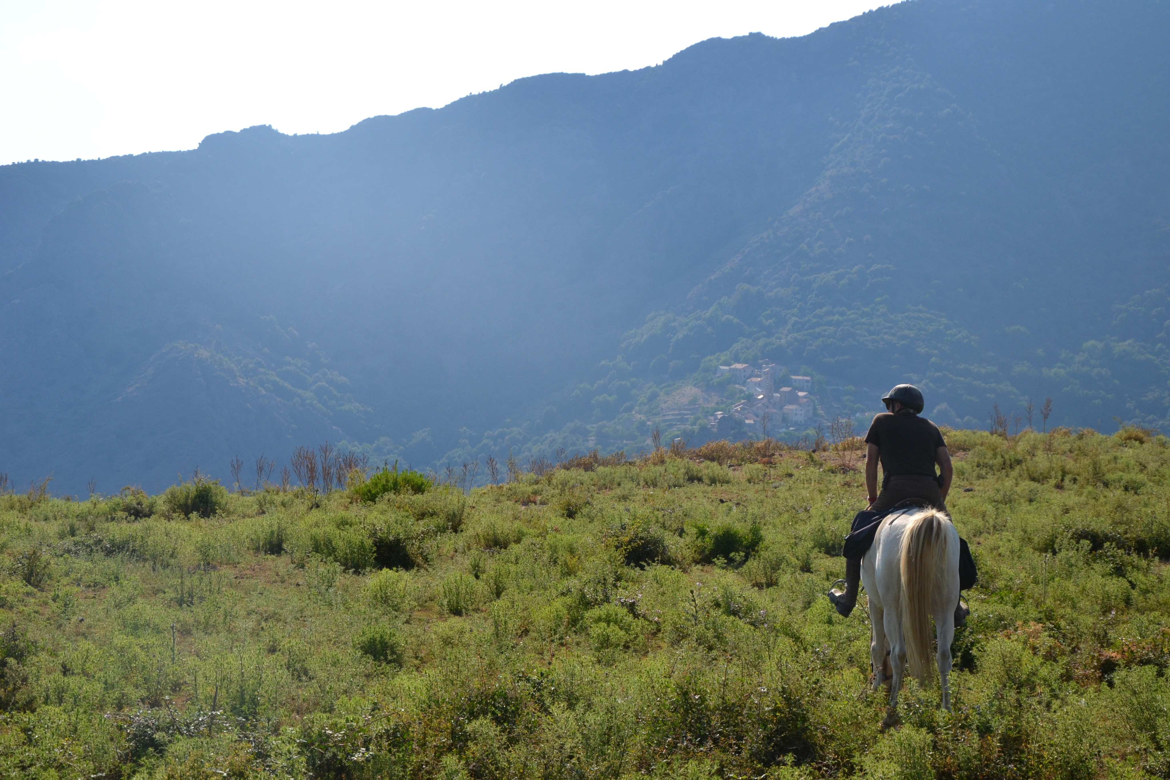 Image Mer et Montagne Corse à cheval