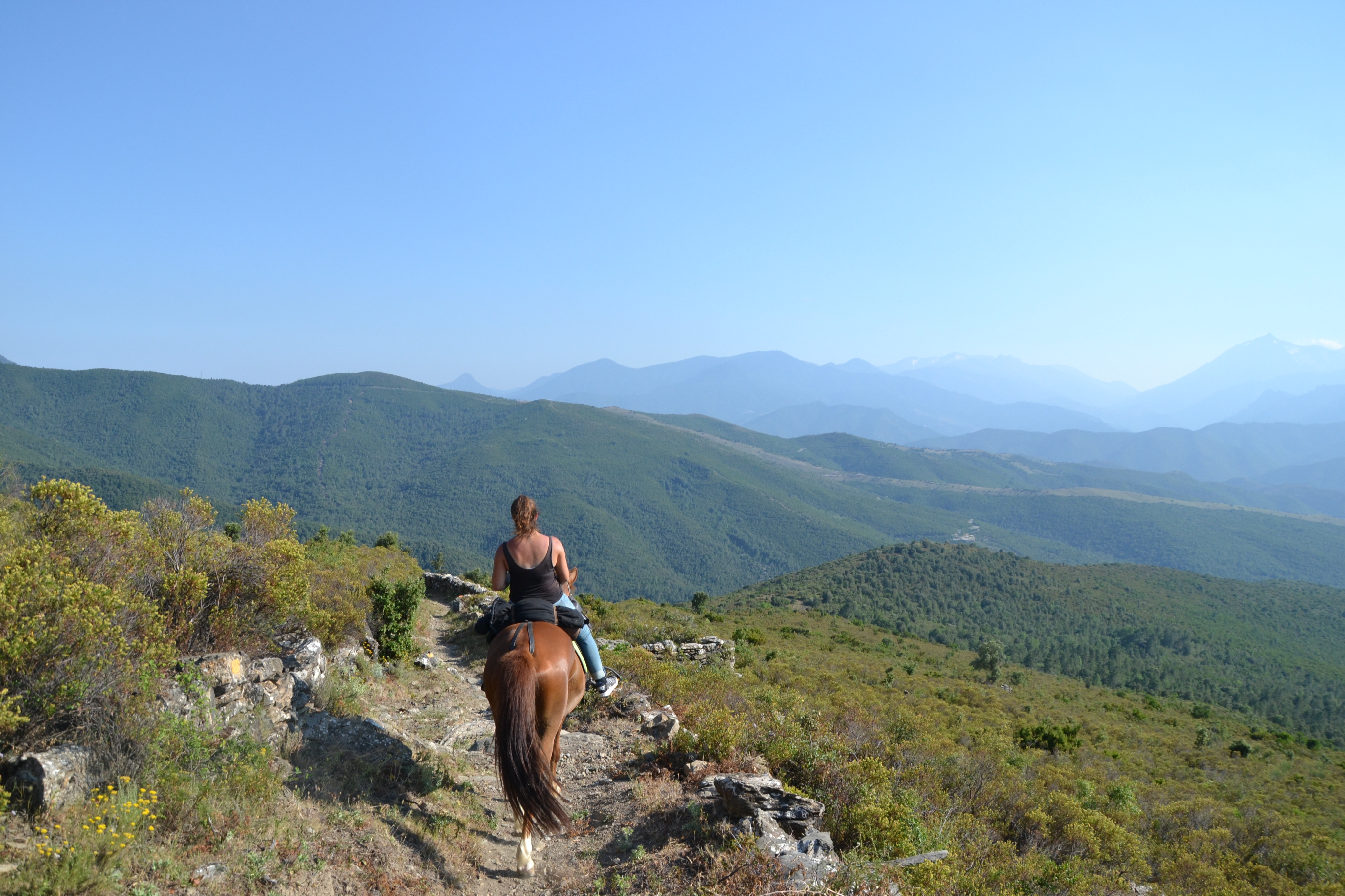 Image Mer et Montagne Corse à cheval
