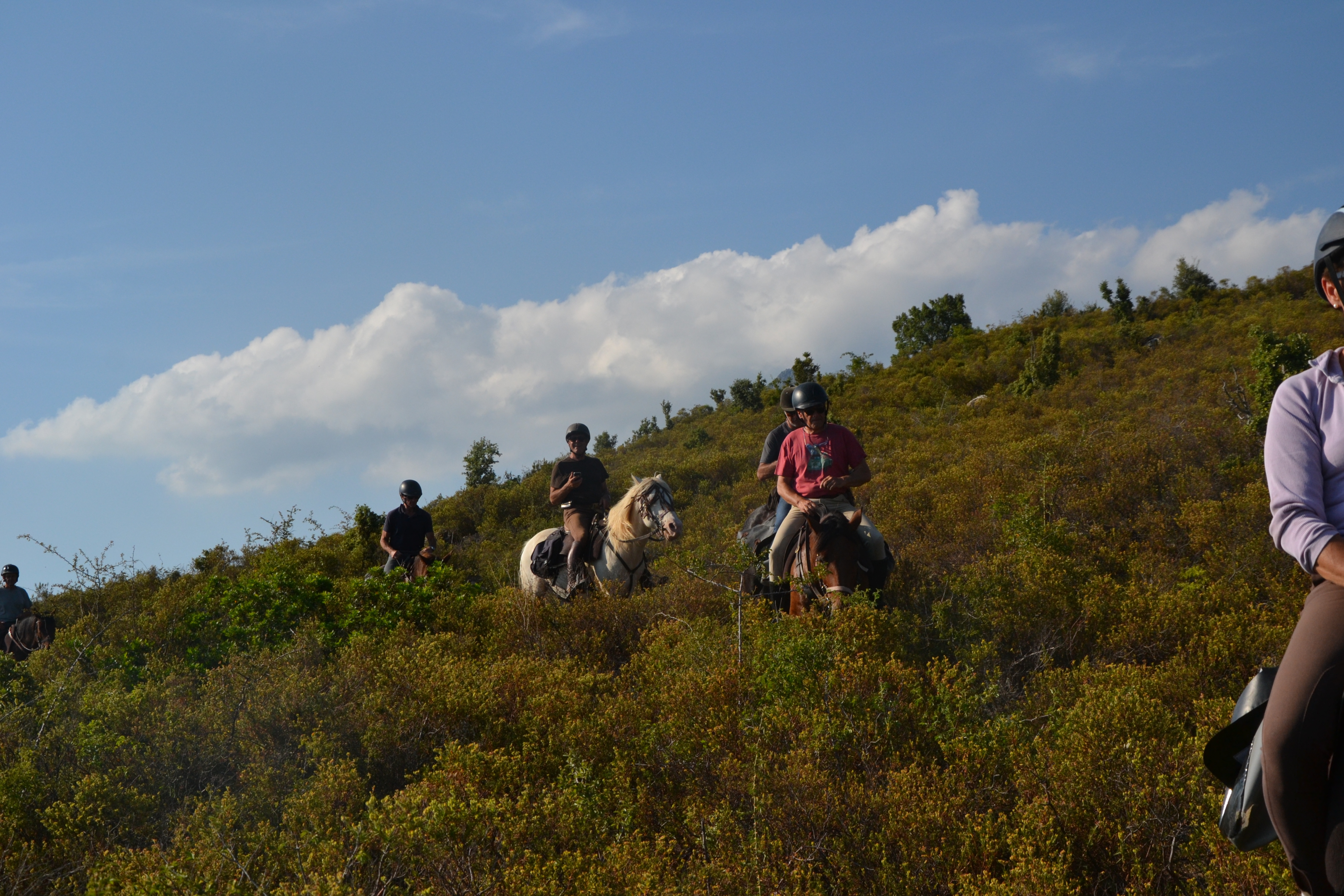 Image Mer et Montagne Corse à cheval