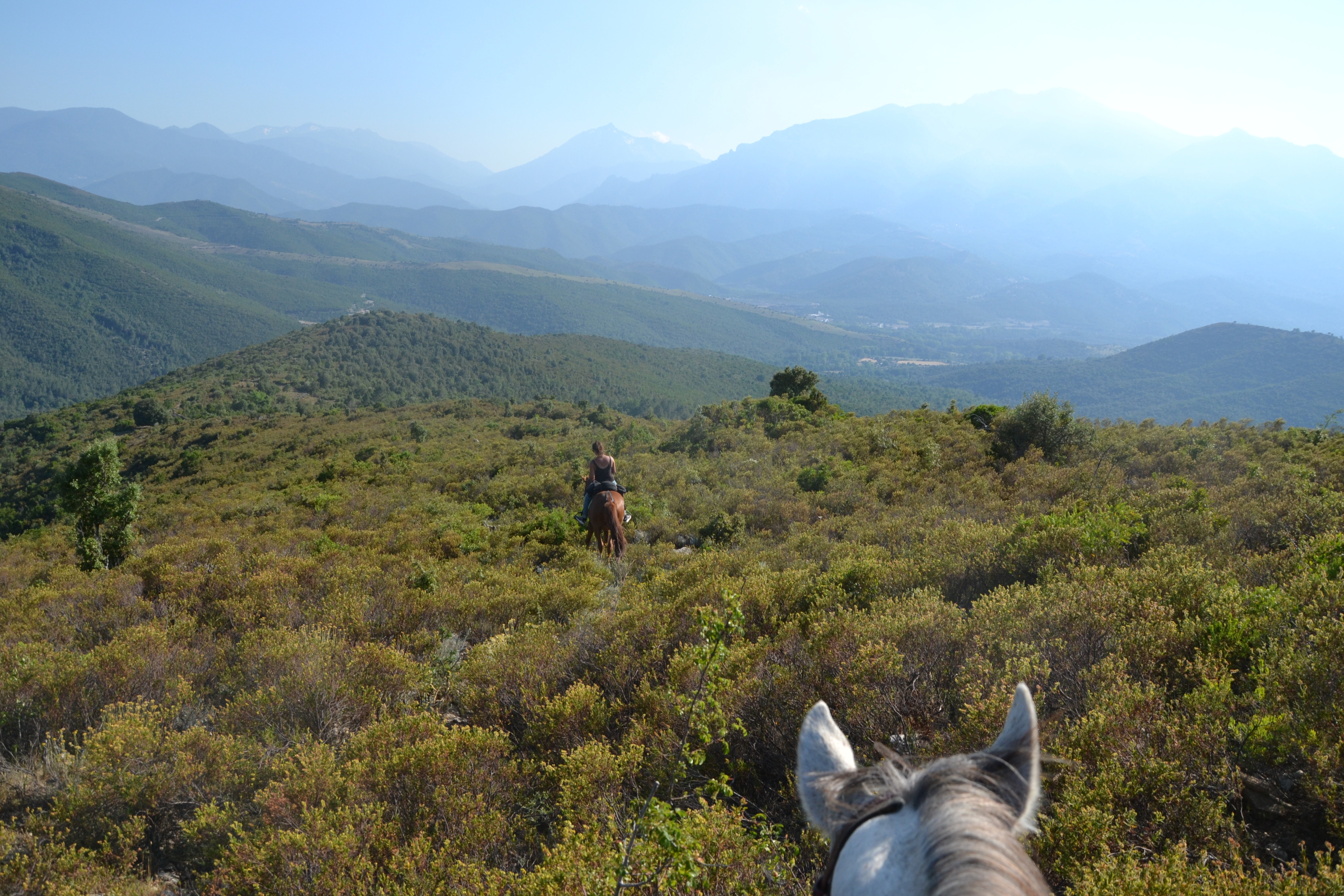 Image Le Désert des Agriates en Corse à cheval