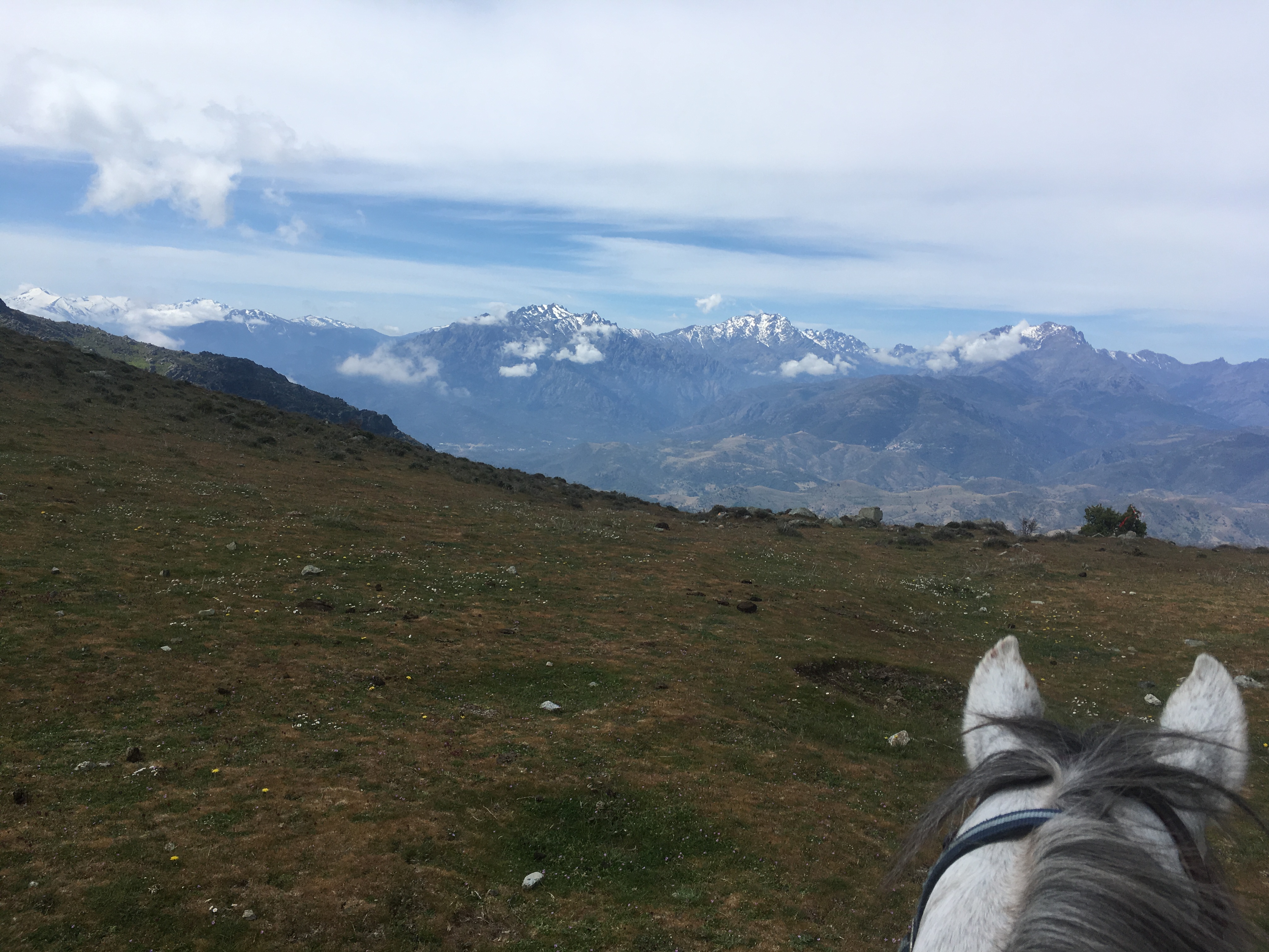 Image Mer et Montagne Corse à cheval