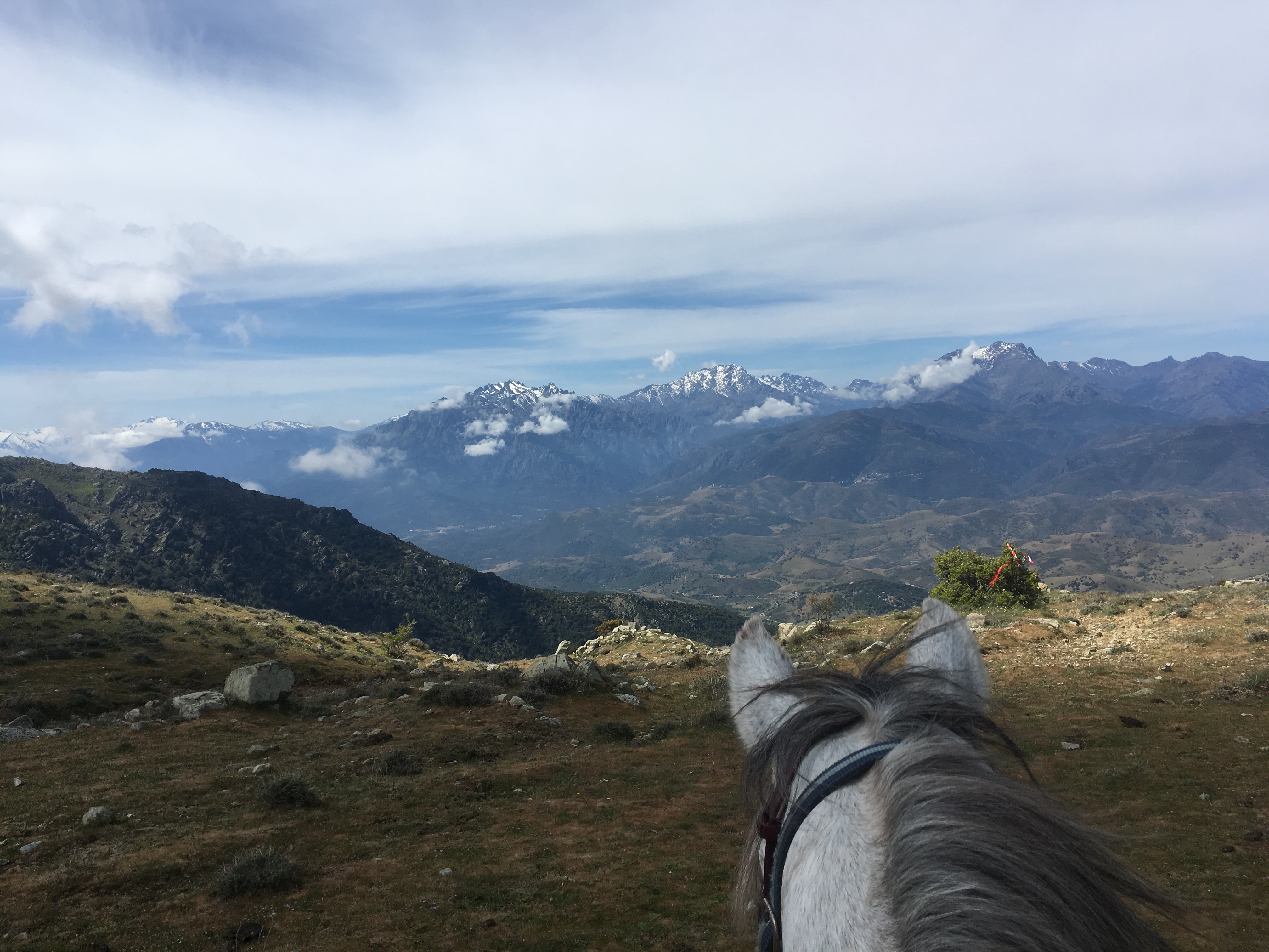 Image Mer et Montagne Corse à cheval