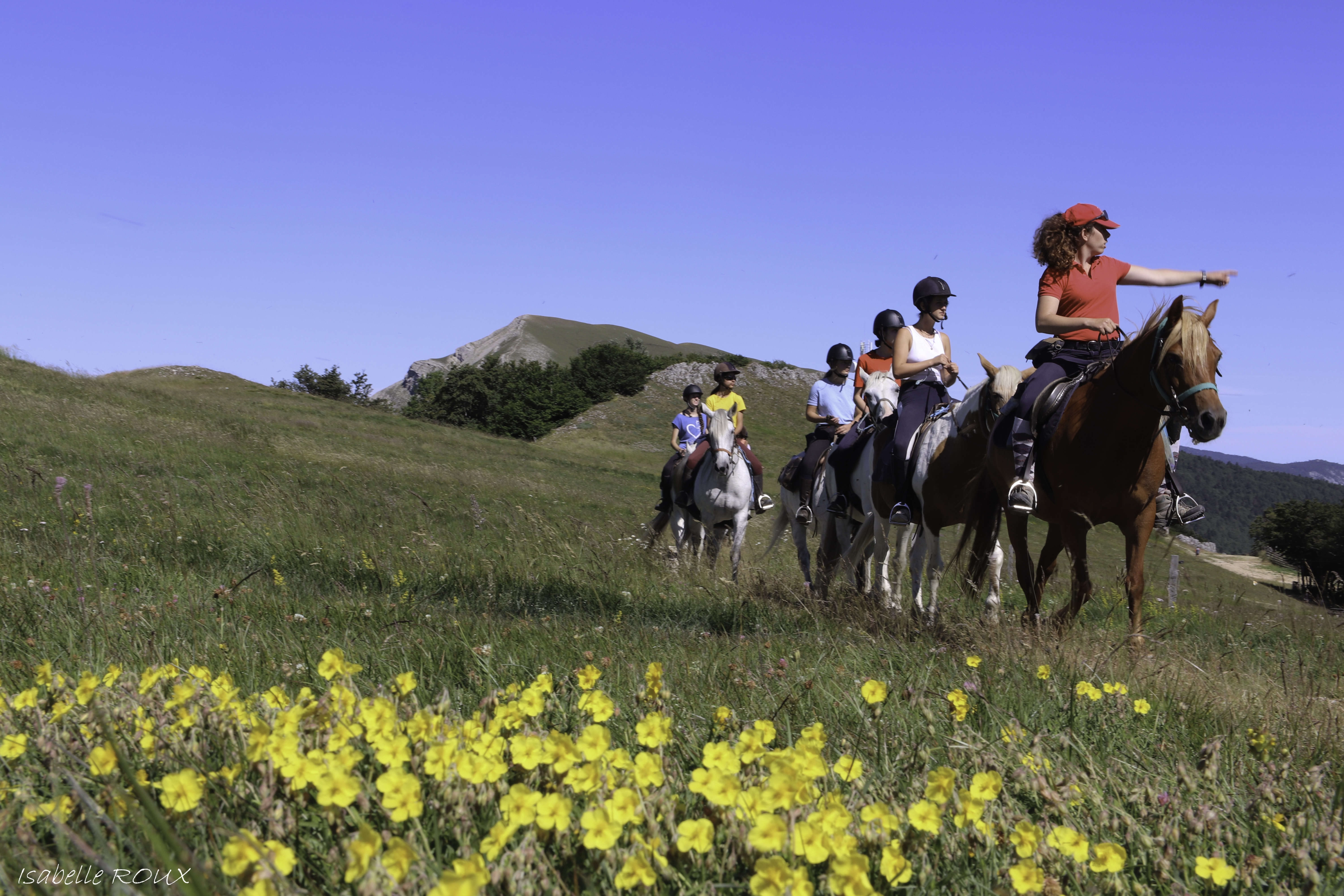 Image Rando à cheval dans le Vercors pour ados de 13 à 17 ans