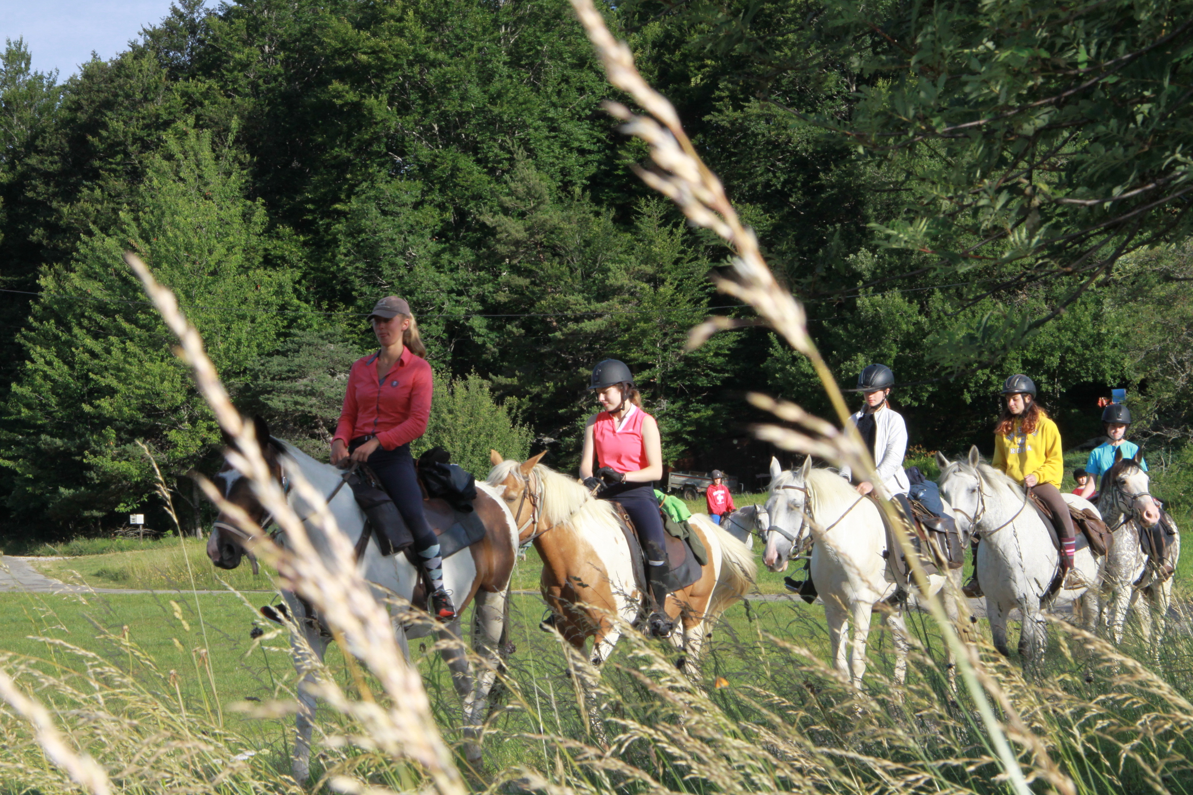 Image Rando à cheval dans le Vercors pour ados de 13 à 17 ans