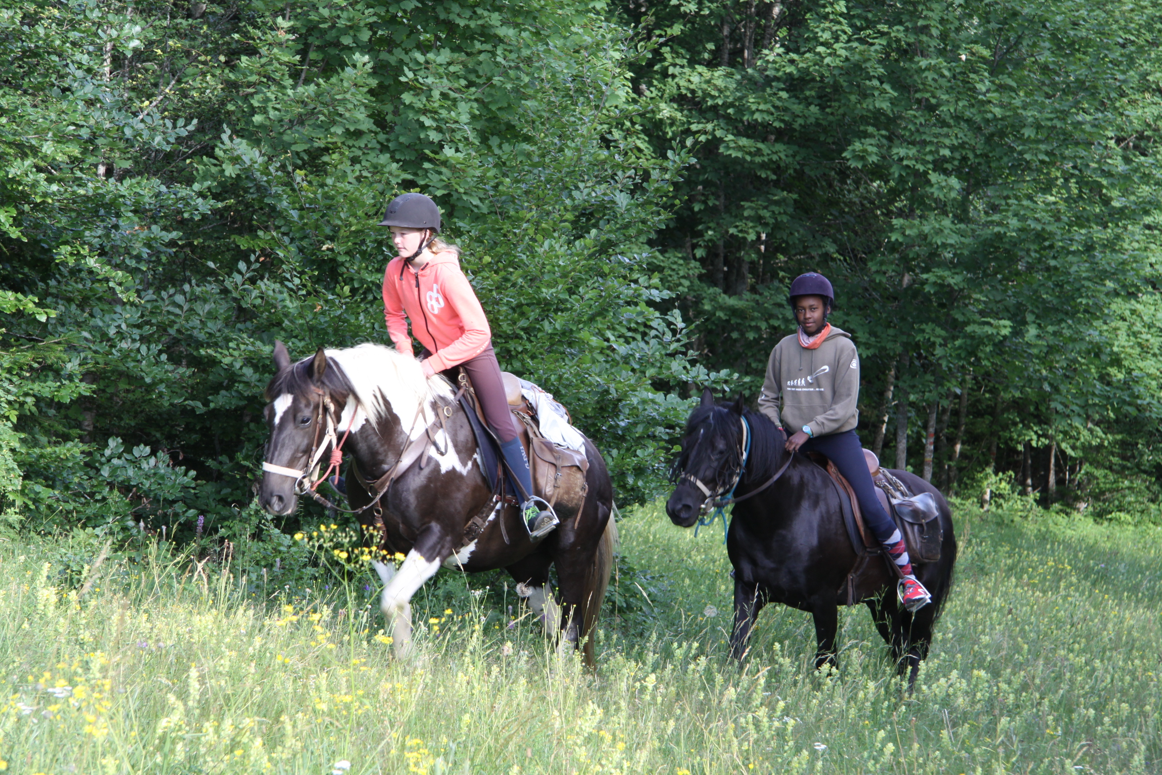Image Rando à cheval dans le Vercors pour ados de 9 à 13 ans