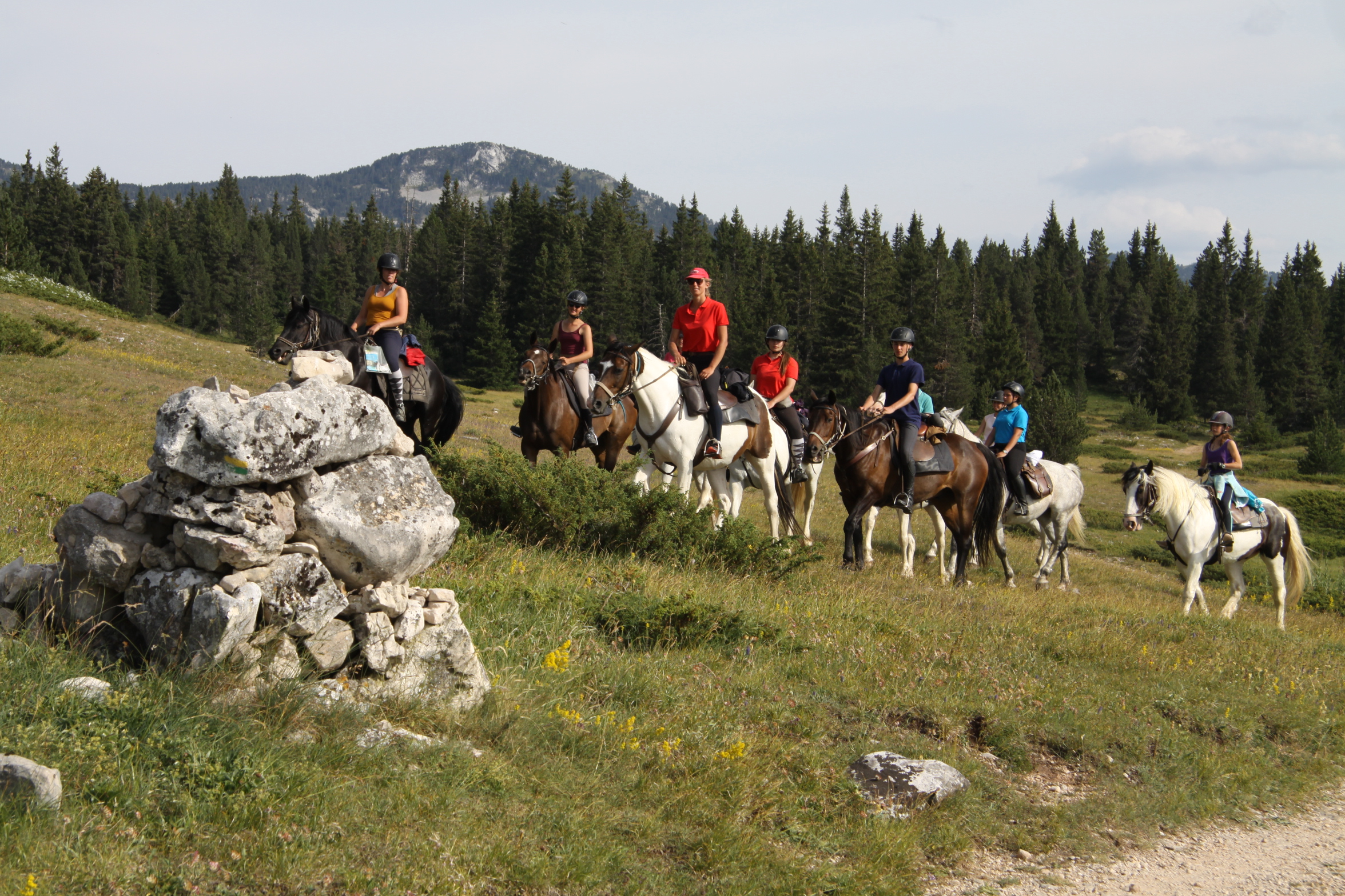 Image Rando à cheval dans le Vercors pour ados de 13 à 17 ans