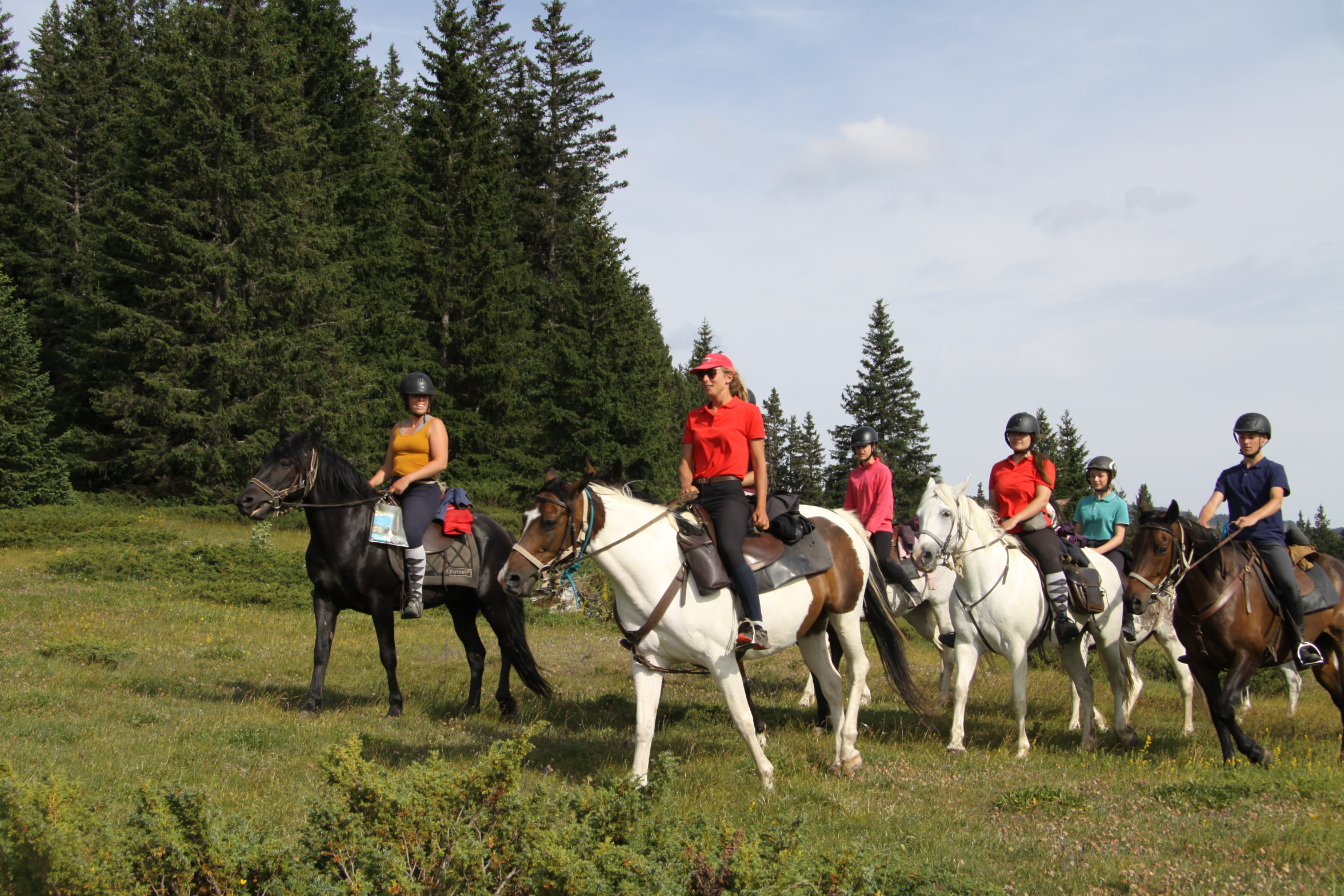 Image Rando à cheval dans le Vercors pour ados de 13 à 17 ans