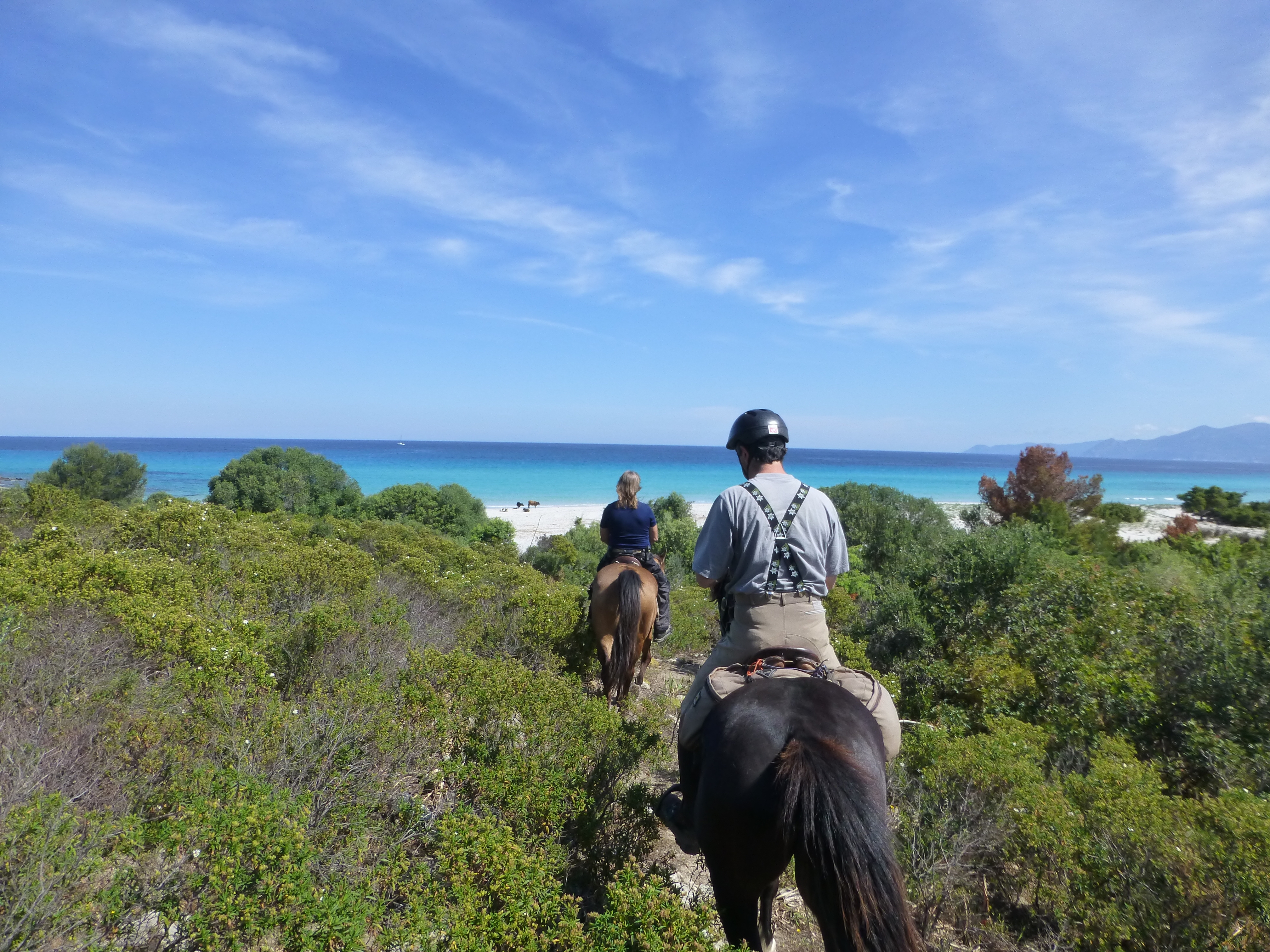 Image Mer et Montagne Corse à cheval