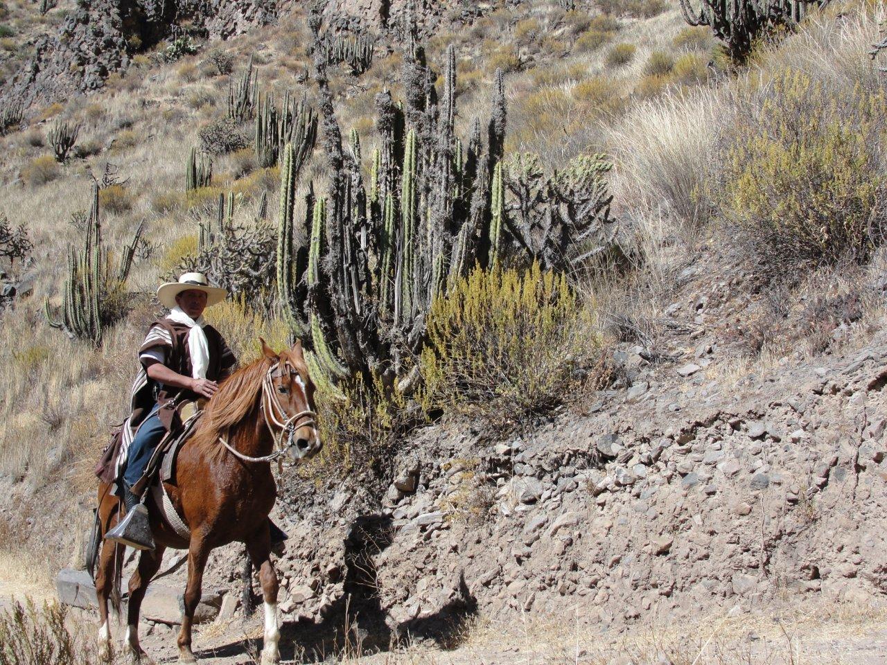 Image Pérou : La vallée et le canyon du Colca à cheval