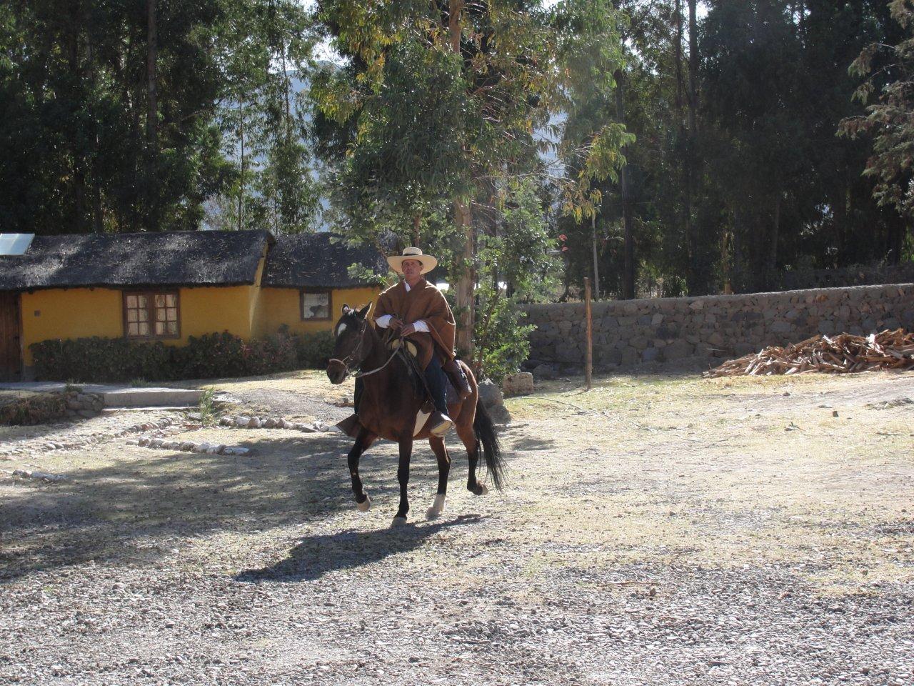 Image Pérou : La vallée et le canyon du Colca à cheval