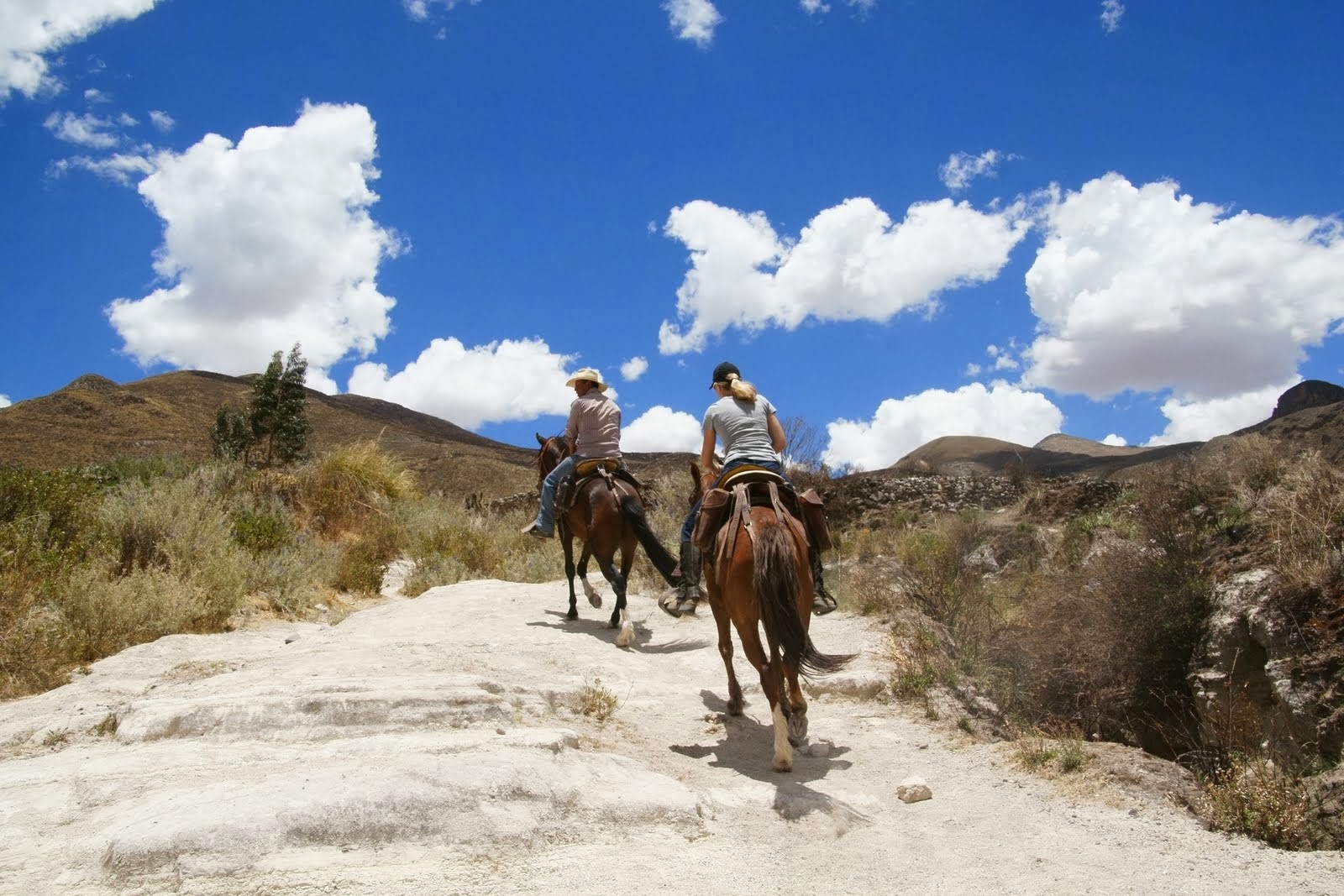 Image Pérou : La vallée et le canyon du Colca à cheval