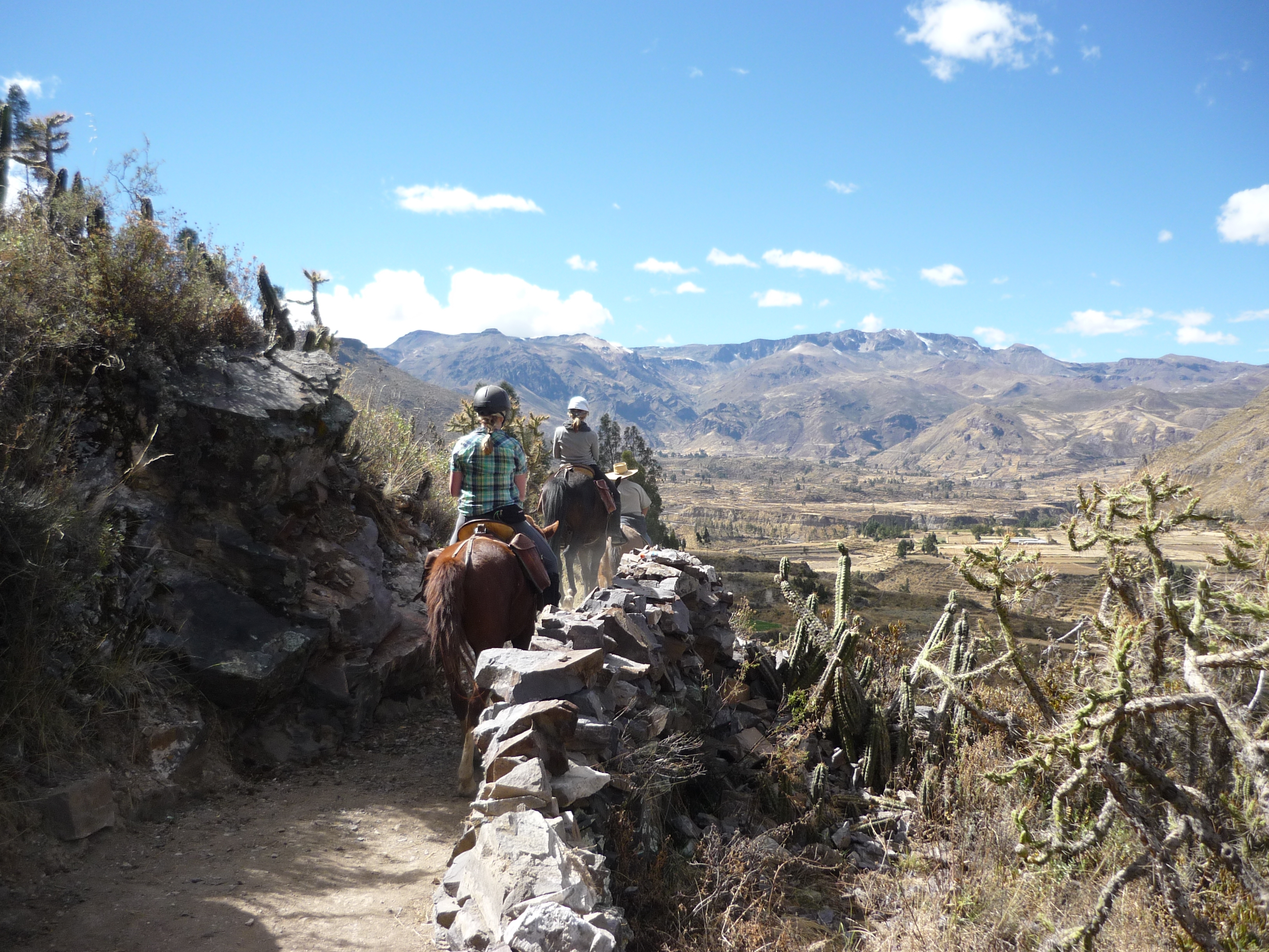 Image Pérou : La vallée et le canyon du Colca à cheval