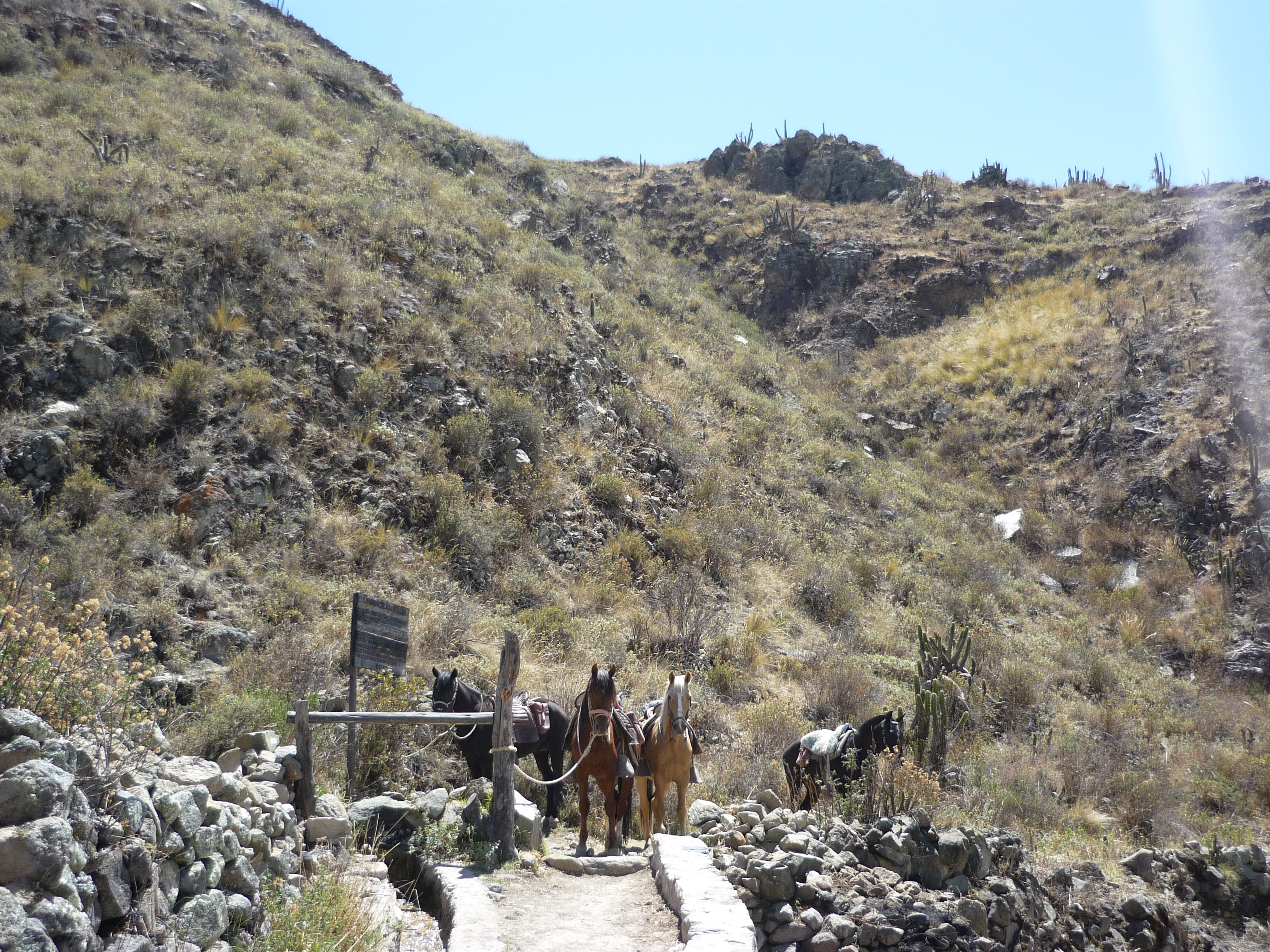 Image Pérou : La vallée et le canyon du Colca à cheval