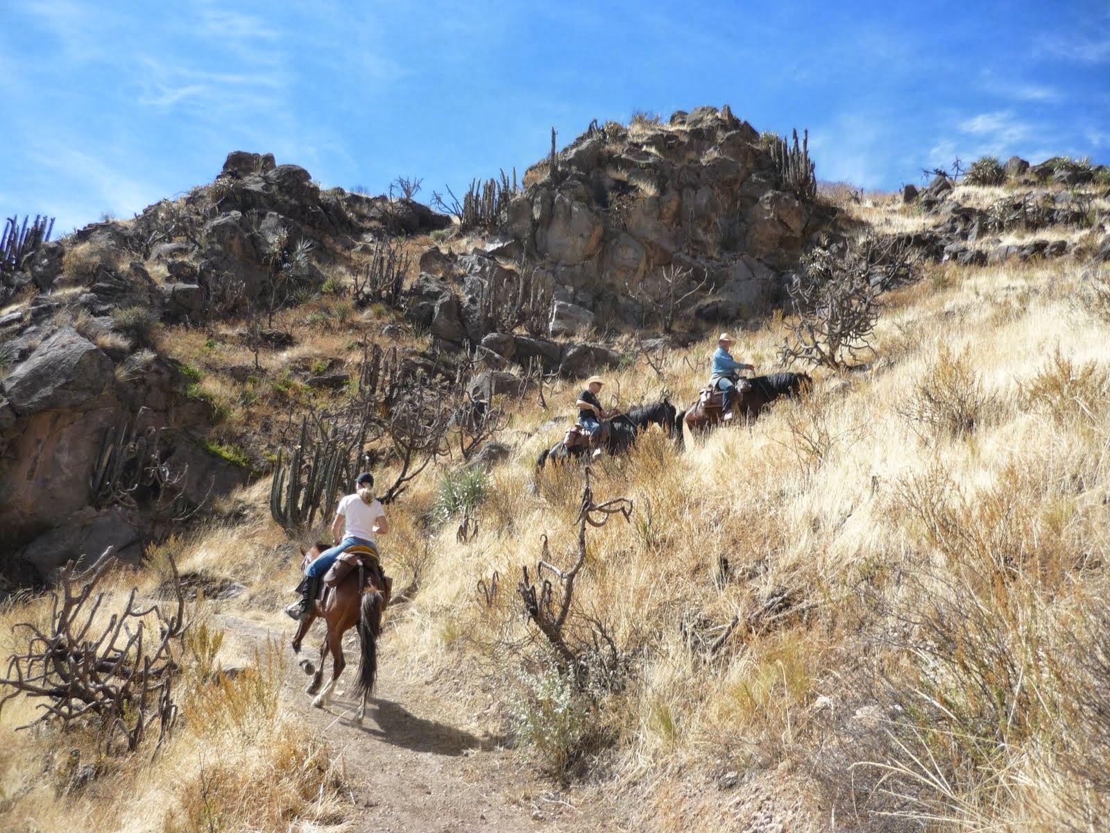 Image Pérou : La vallée et le canyon du Colca à cheval