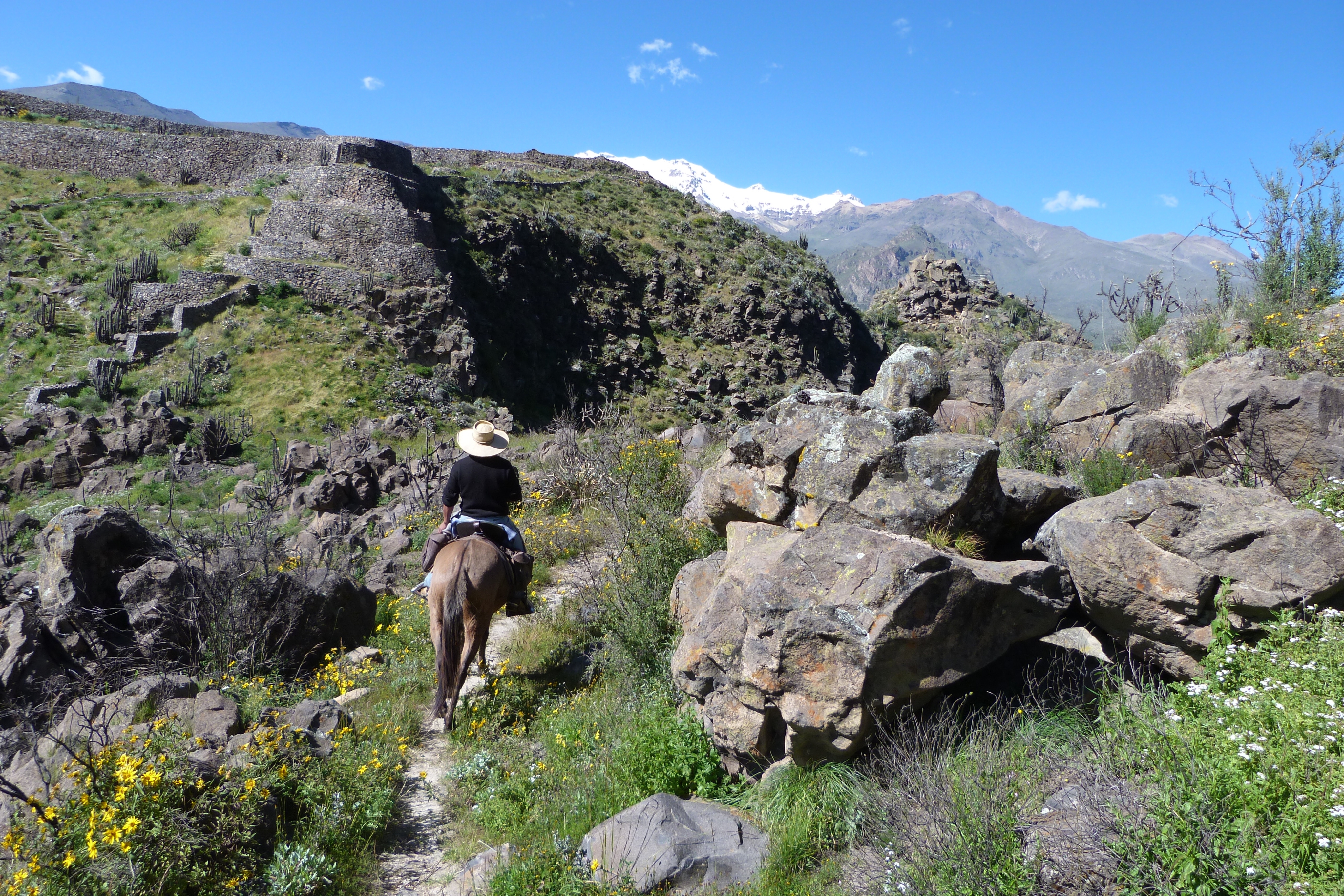 Image Pérou : La vallée et le canyon du Colca à cheval