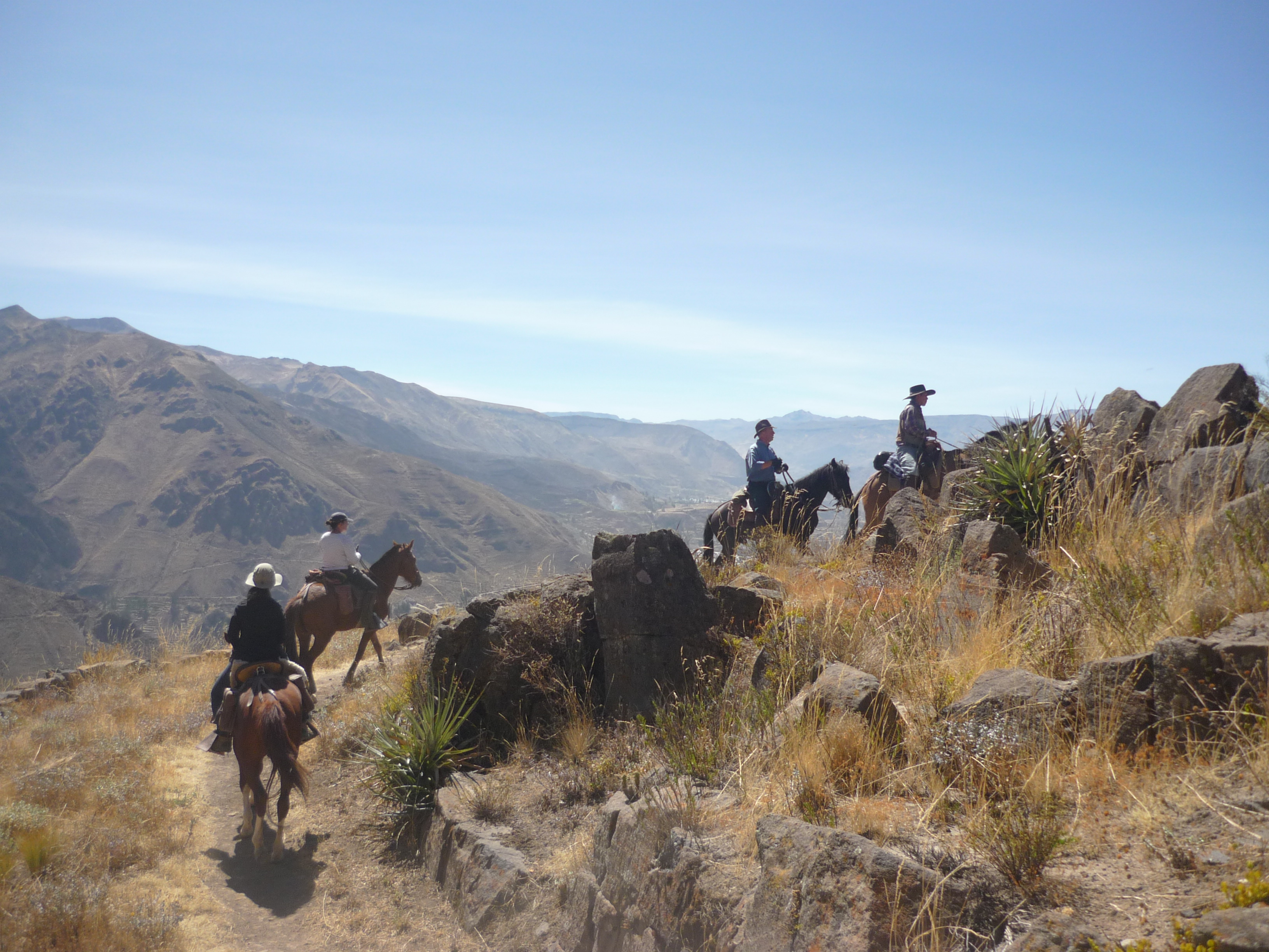 Image Pérou : La vallée et le canyon du Colca à cheval