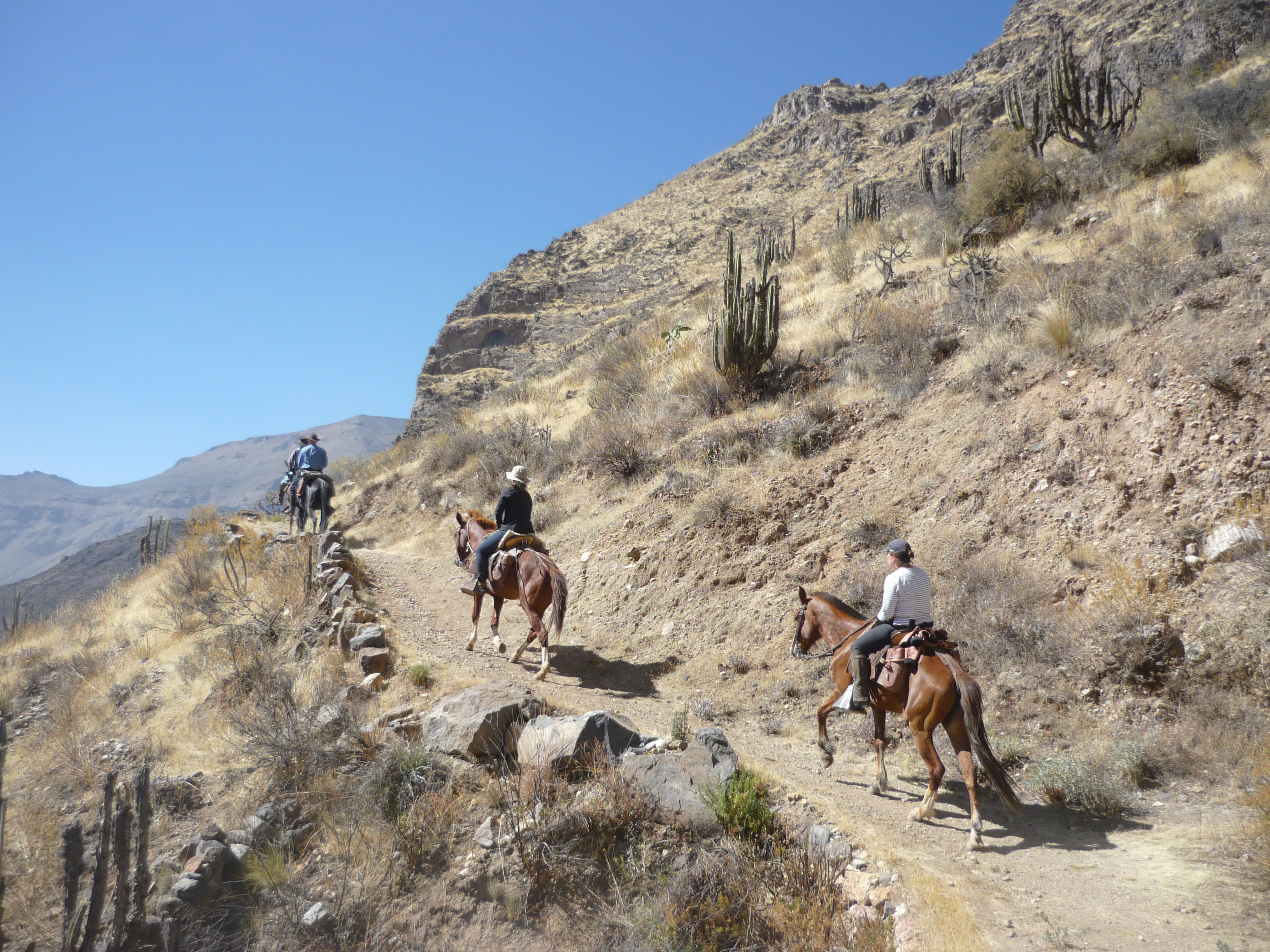 Image Pérou : La vallée et le canyon du Colca à cheval